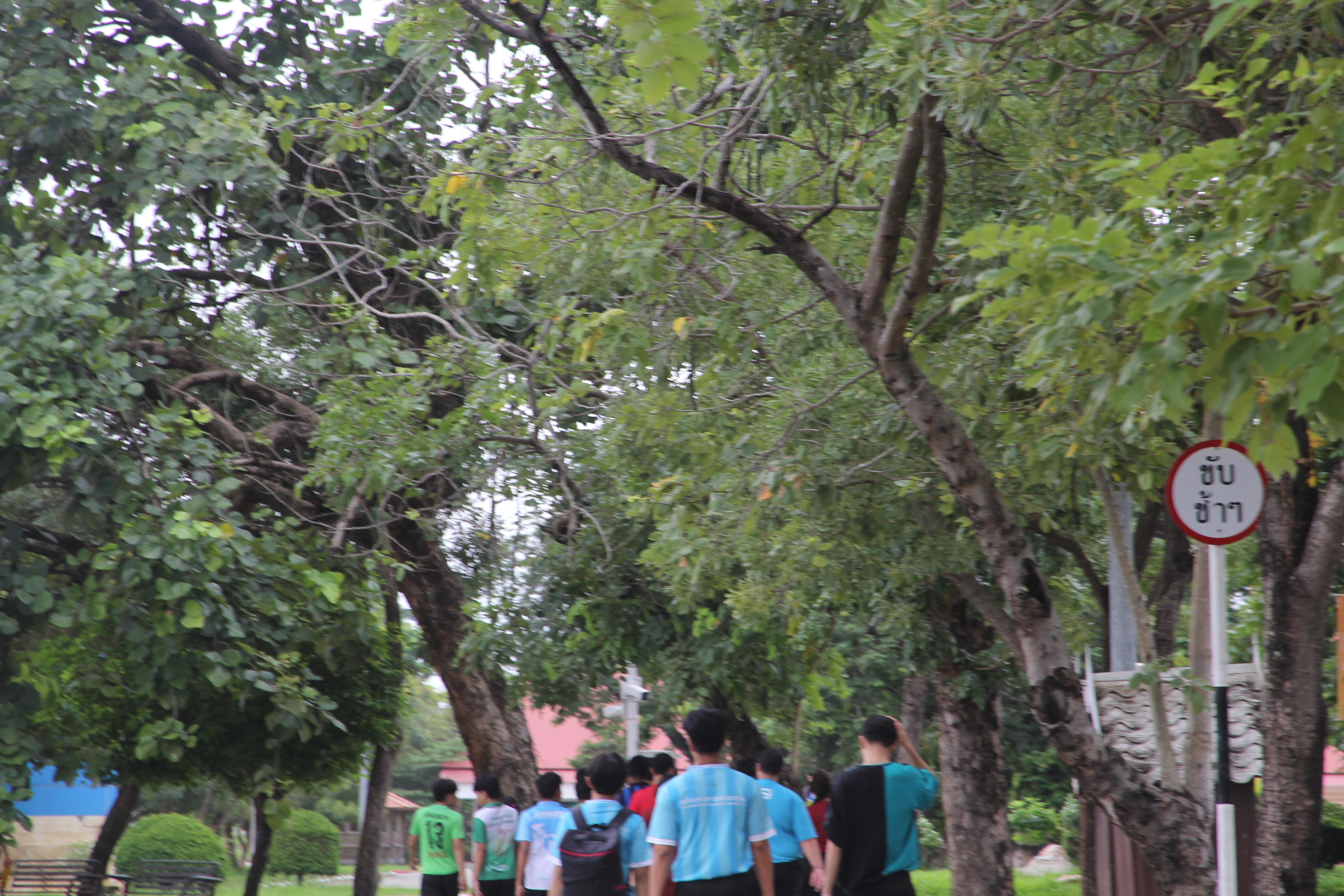 141. กิจกรรมผูกข้อมือ 68