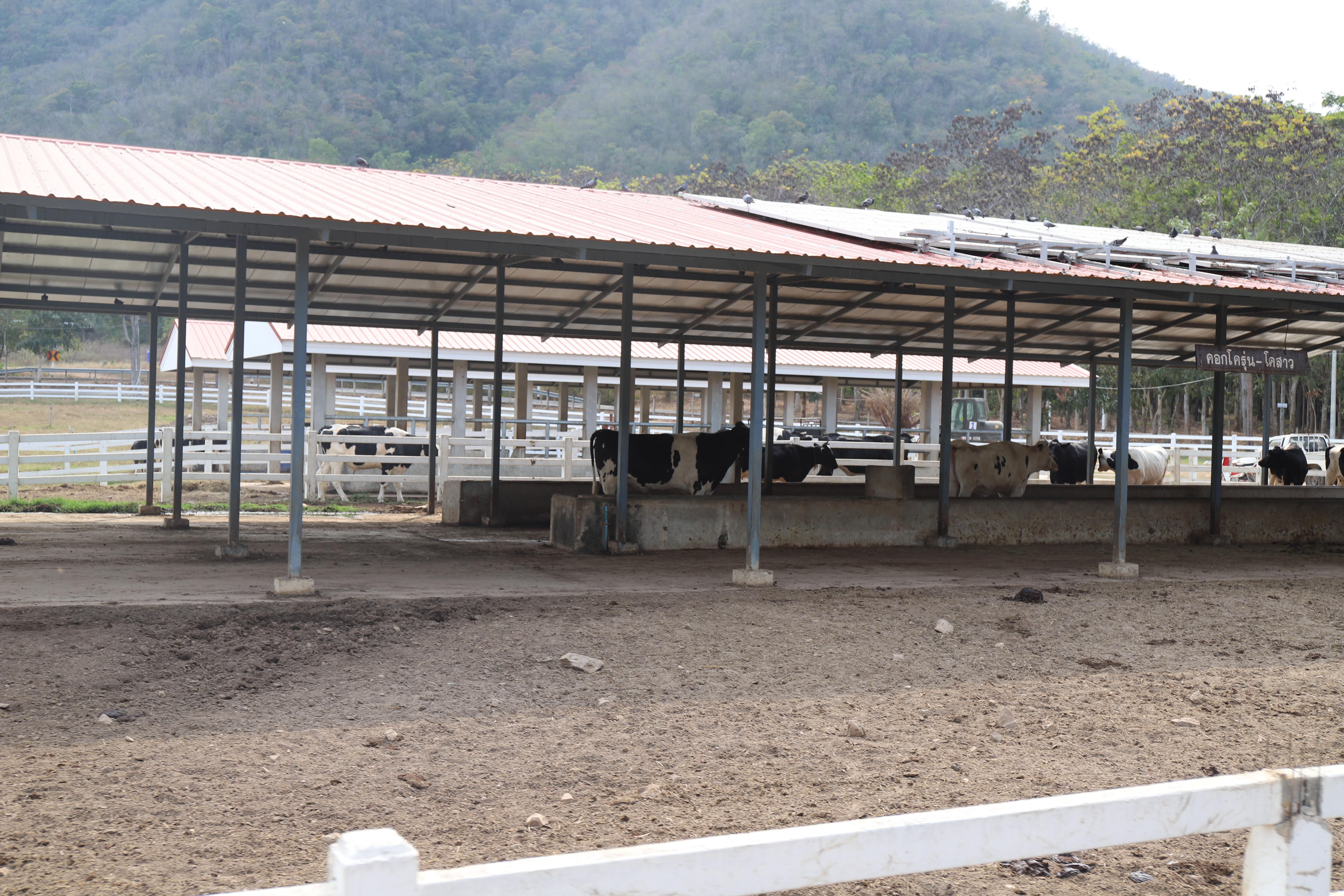 323. ศึกษาดูงาน 2026