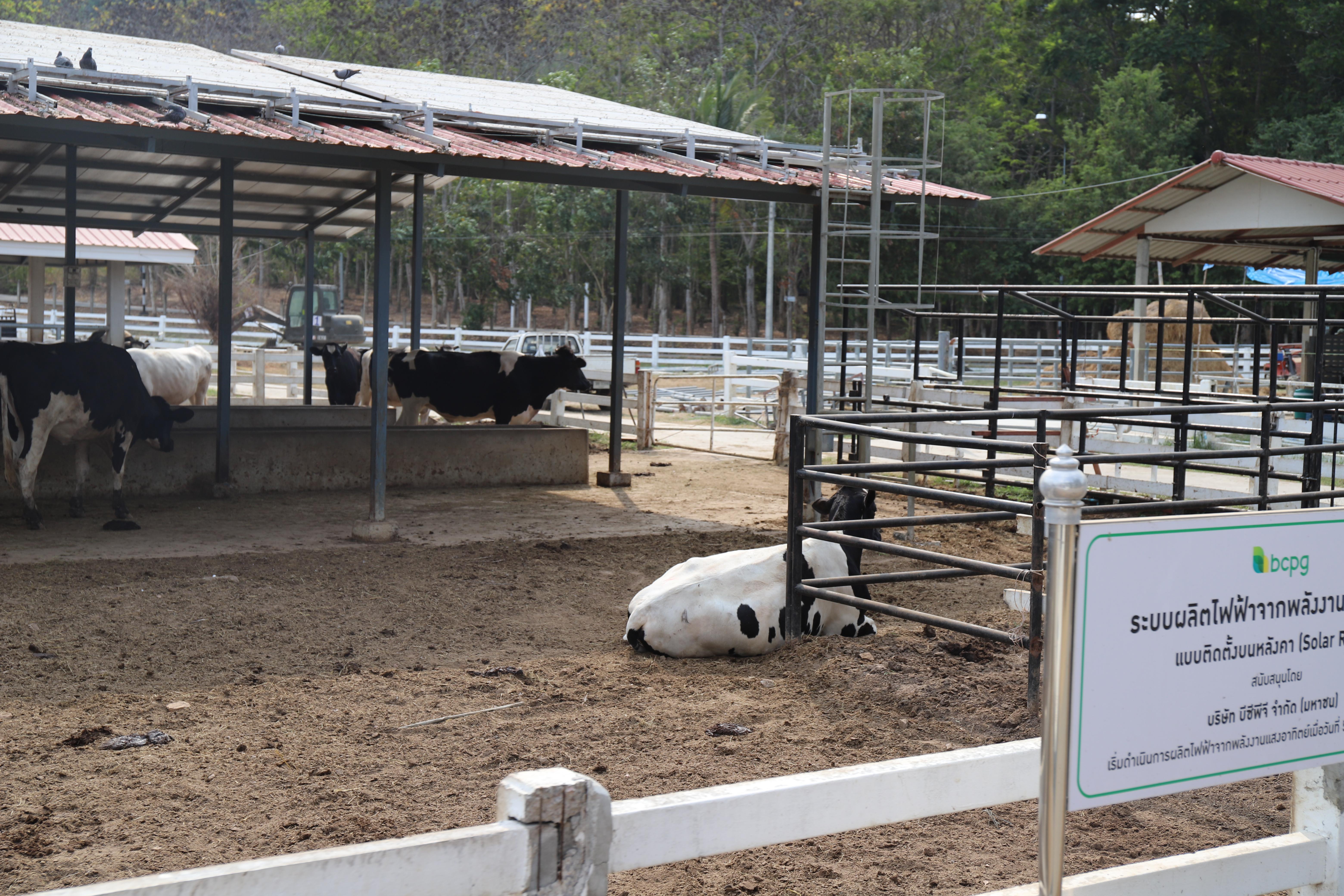 324. ศึกษาดูงาน 2026