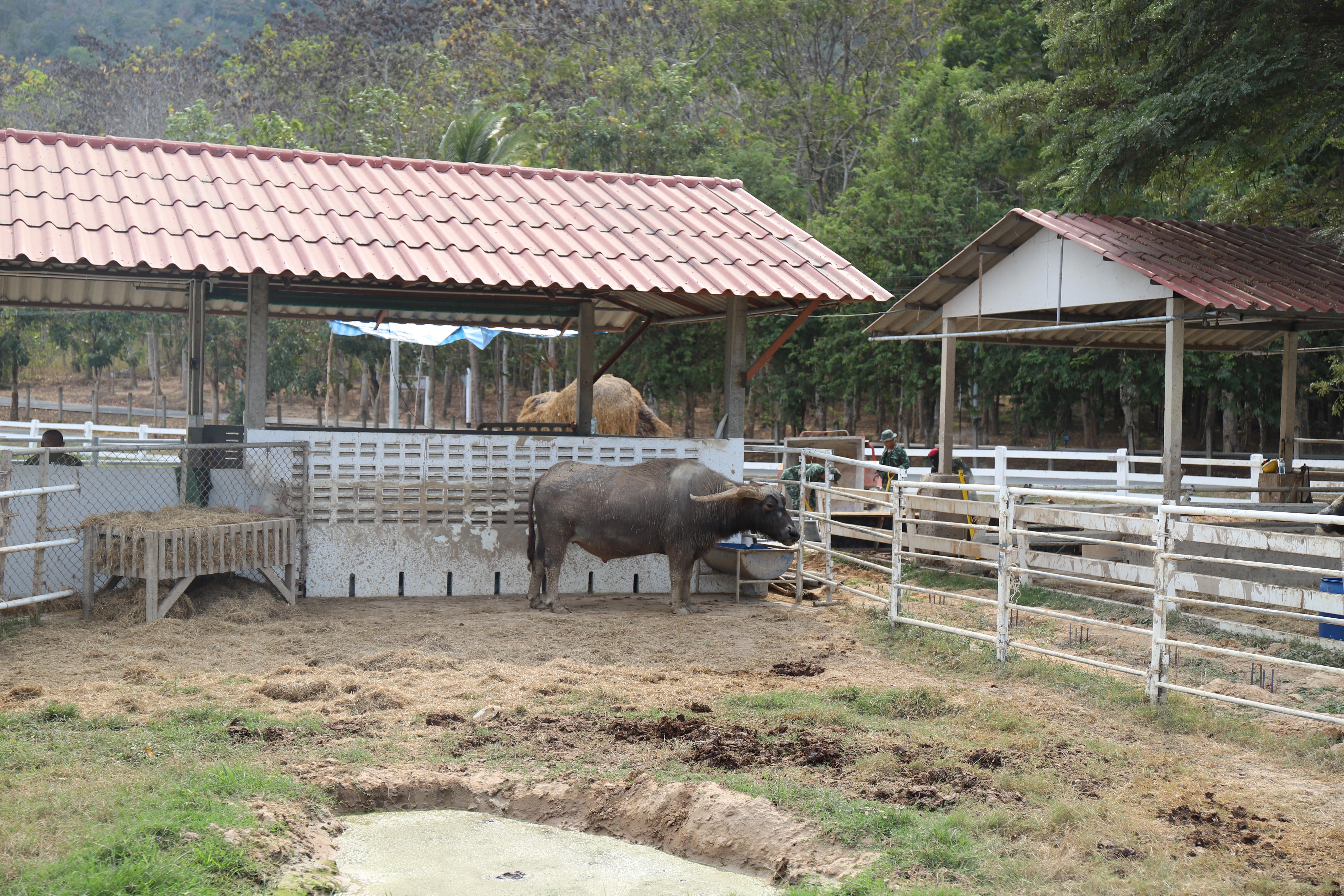 326. ศึกษาดูงาน 2026