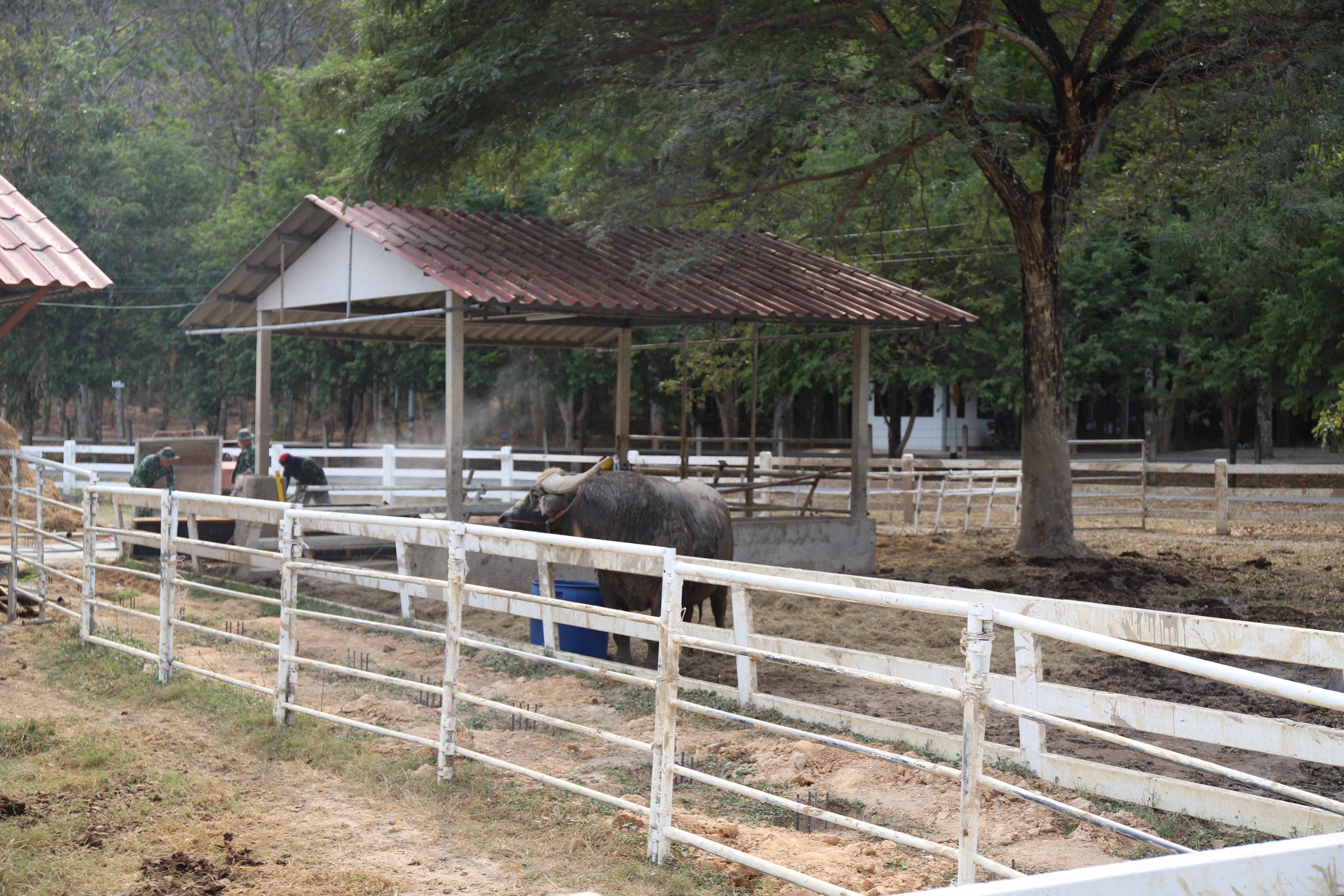 327. ศึกษาดูงาน 2026