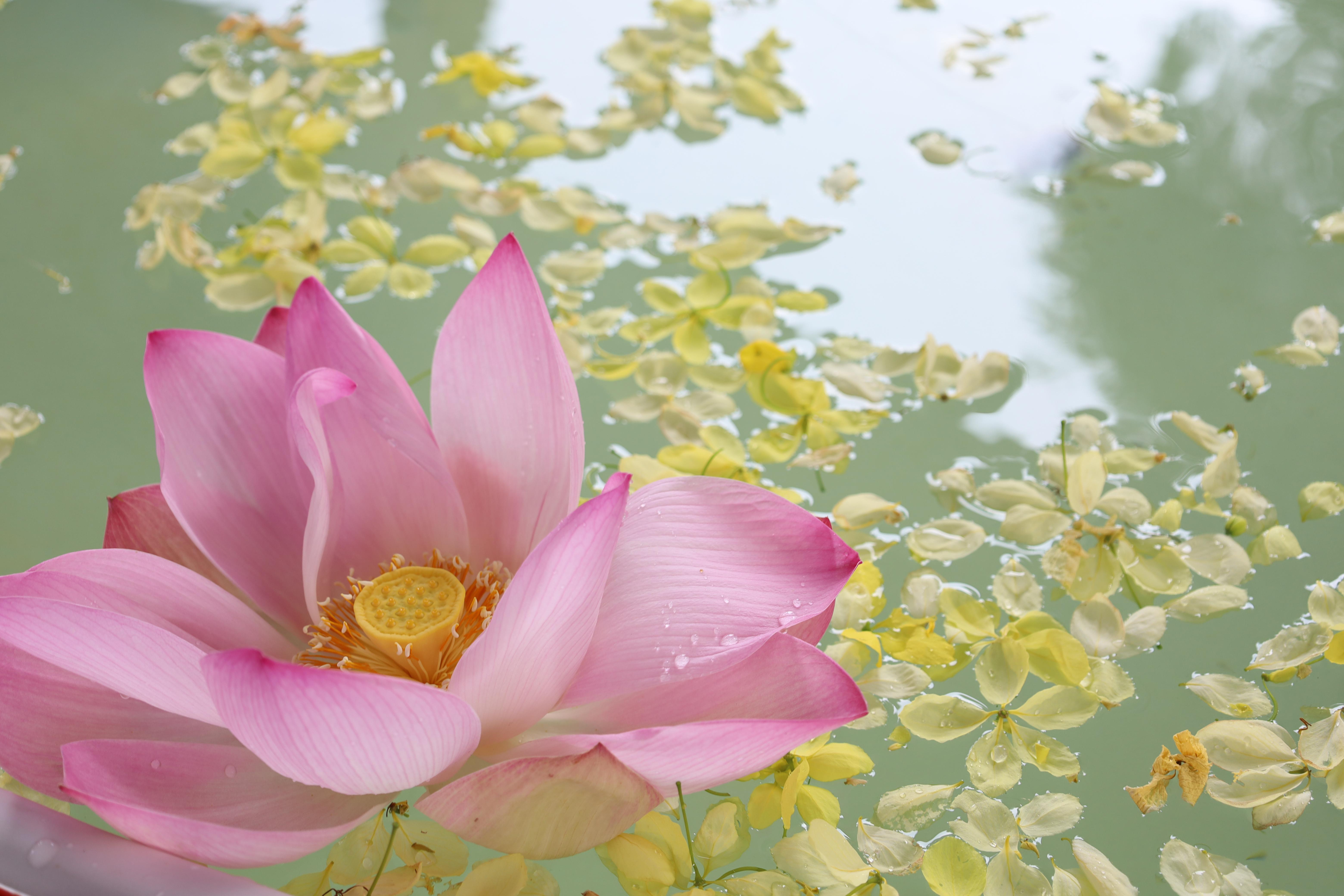 2. กิจกรรมวันสงกรานต์โรงเรียนอนุบาลราชภัฏกำแพงเพชร ปีการศึกษา 2567