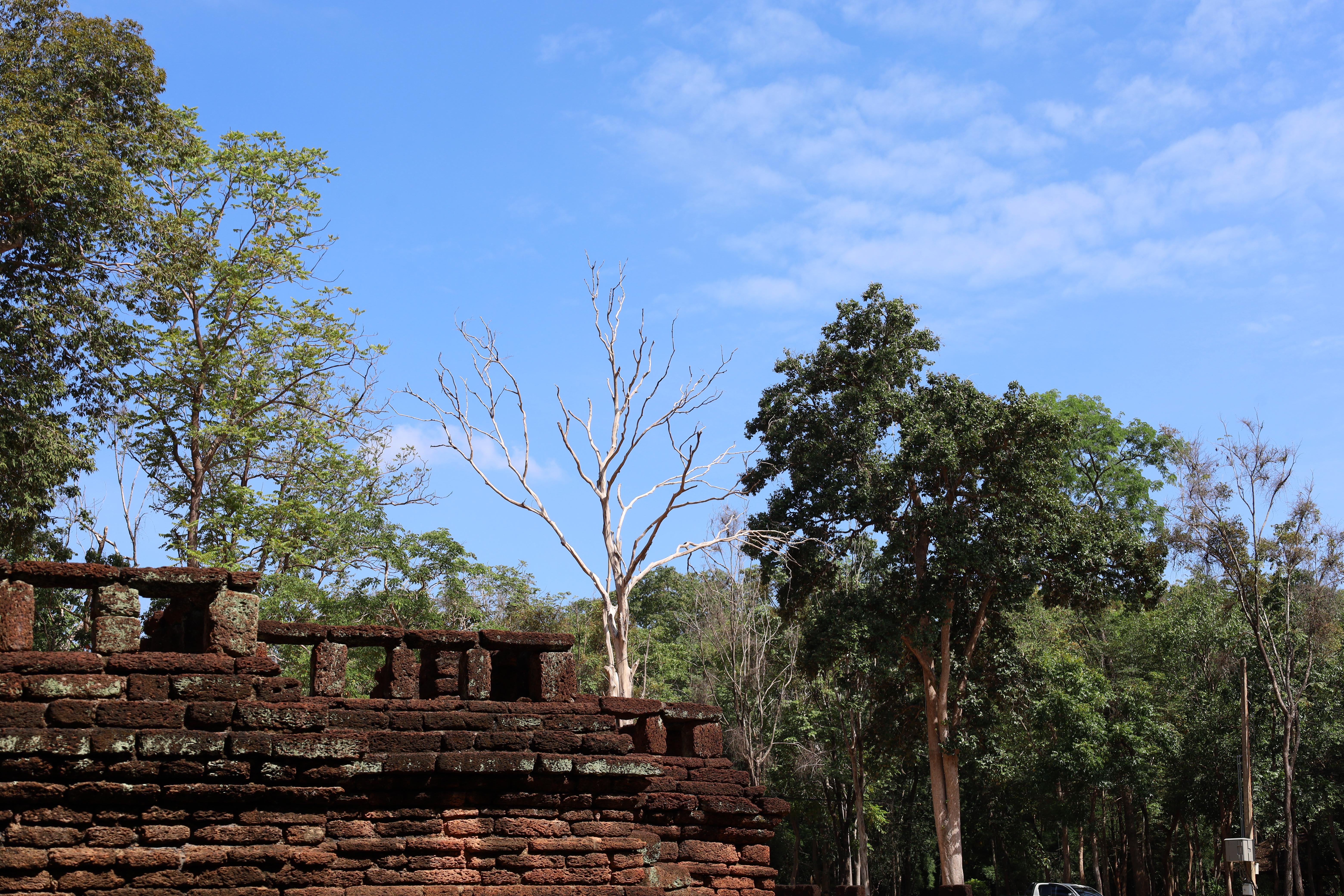 155. กิจกรรมแลกเปลี่ยนวัฒนธรรมเพื่อกำรเรียนรู้สำหรับคณาจารย์และนักศึกษาระดับบัณฑิตศึกษา คณะครุศาสตร์ ความร่วมมือกับ West Visayas State University ประจำปีการศึกษา 2568