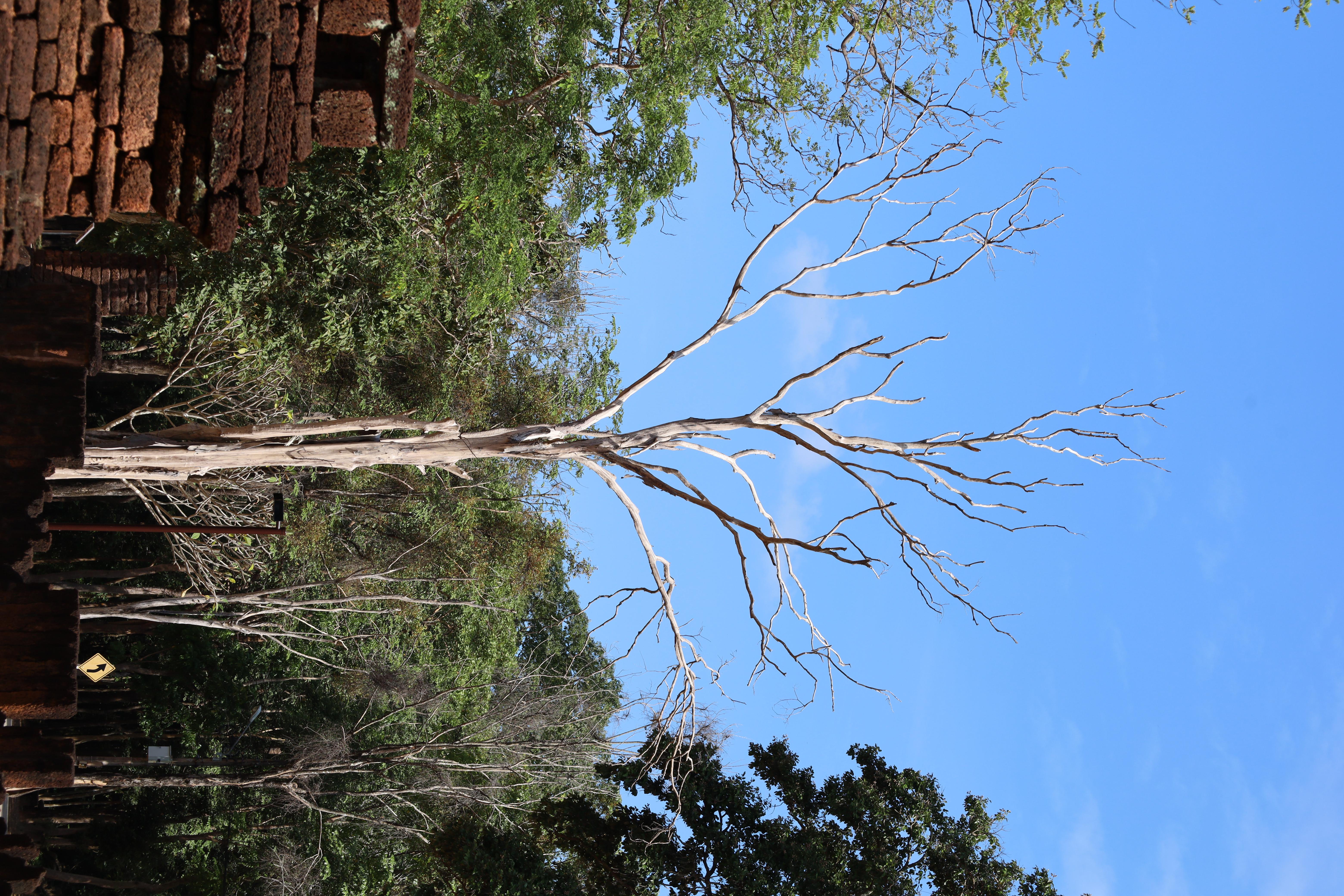 156. กิจกรรมแลกเปลี่ยนวัฒนธรรมเพื่อกำรเรียนรู้สำหรับคณาจารย์และนักศึกษาระดับบัณฑิตศึกษา คณะครุศาสตร์ ความร่วมมือกับ West Visayas State University ประจำปีการศึกษา 2568