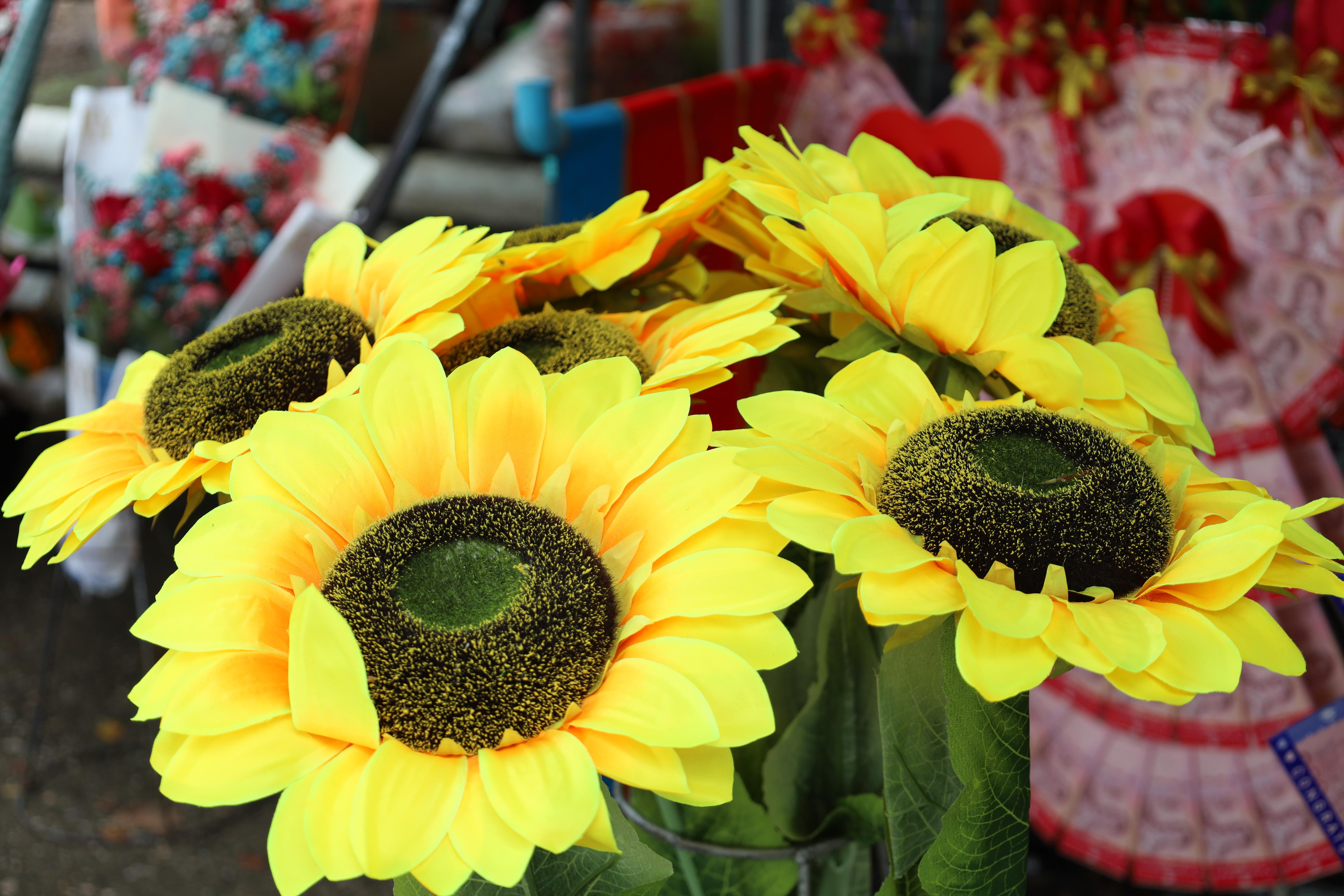 32. บรรยากาศซ้อมใหญ่พิธีพระราชทานปริญญาบัตร ประจำปีพ.ศ.2568