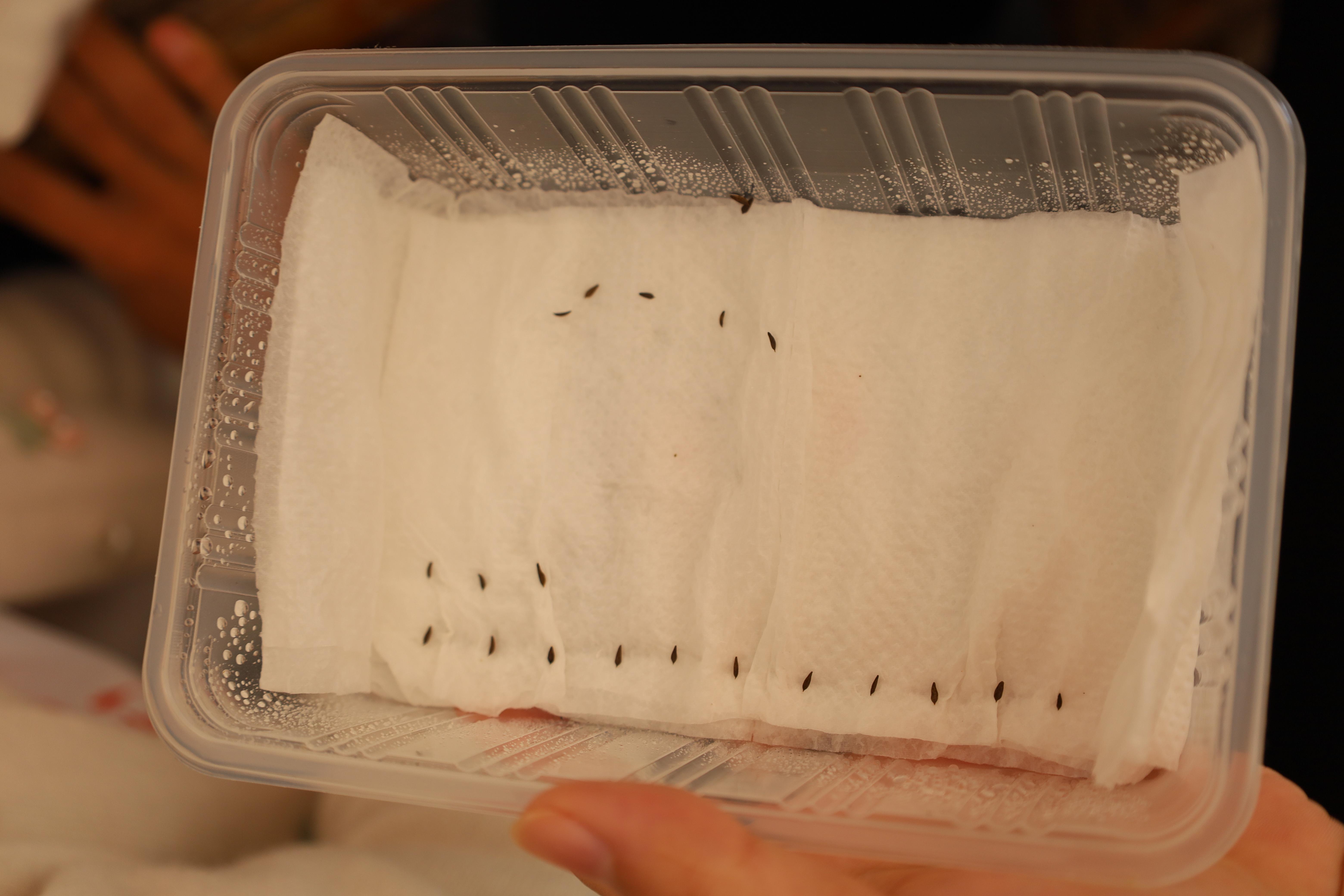 38. การมอบโรงเรือนปลูกพืชไร้ดิน