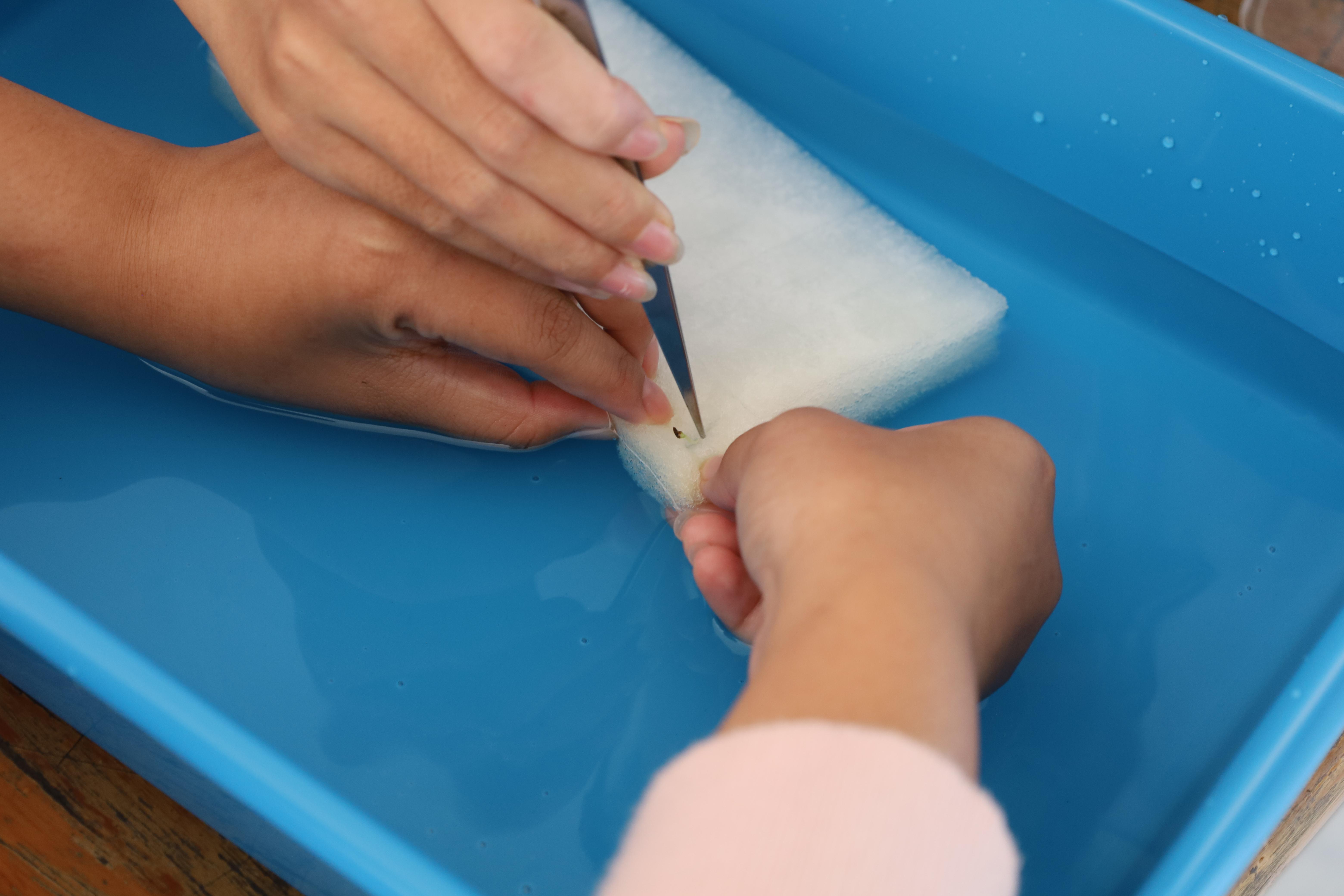 42. การมอบโรงเรือนปลูกพืชไร้ดิน