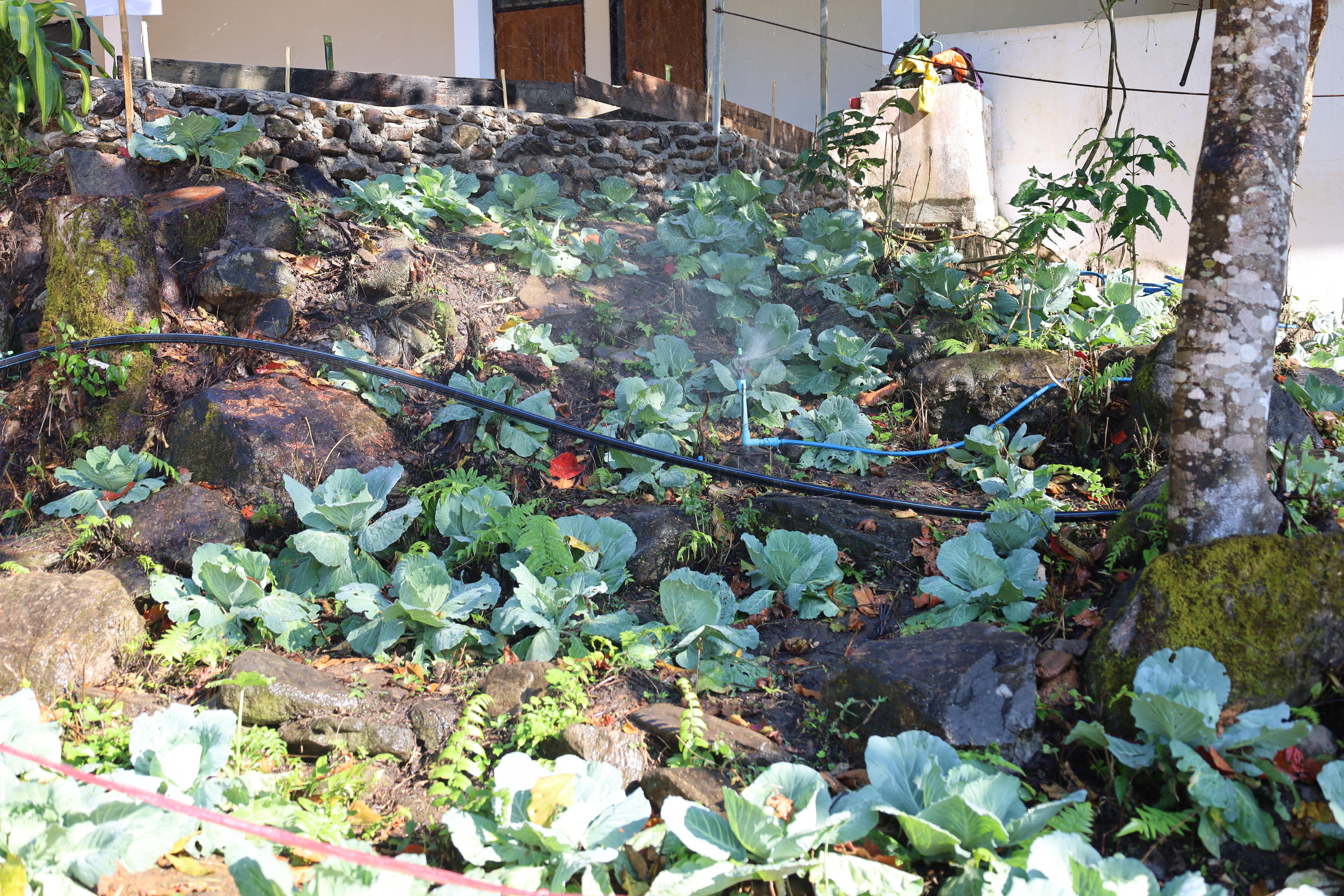 221. กิจกรรมค่ายอาสาพัฒนาโรงเรียนตำรวจตระเวนชายแดน ประจำปี2569