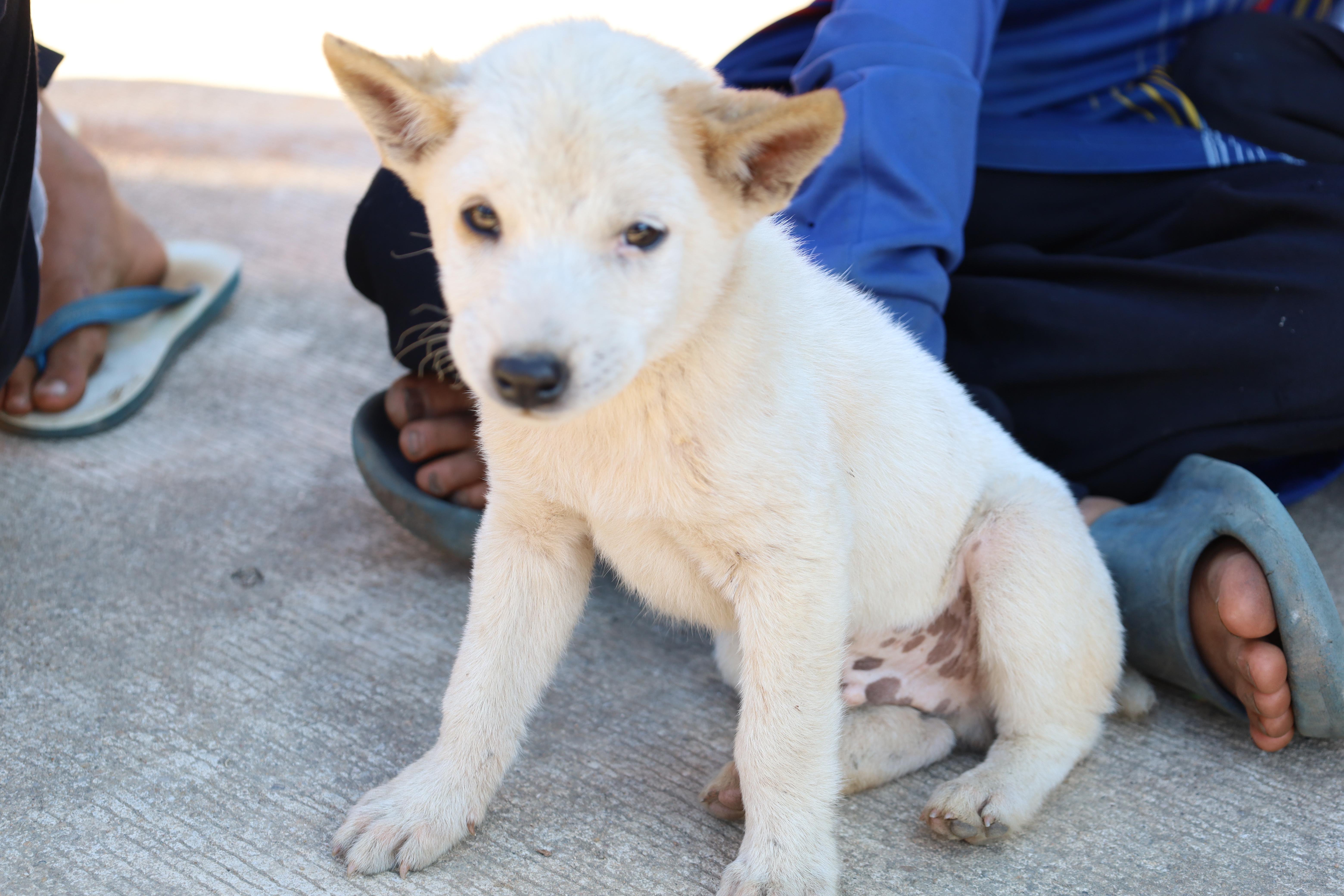 265. กิจกรรมค่ายอาสาพัฒนาโรงเรียนตำรวจตระเวนชายแดน ประจำปี2569