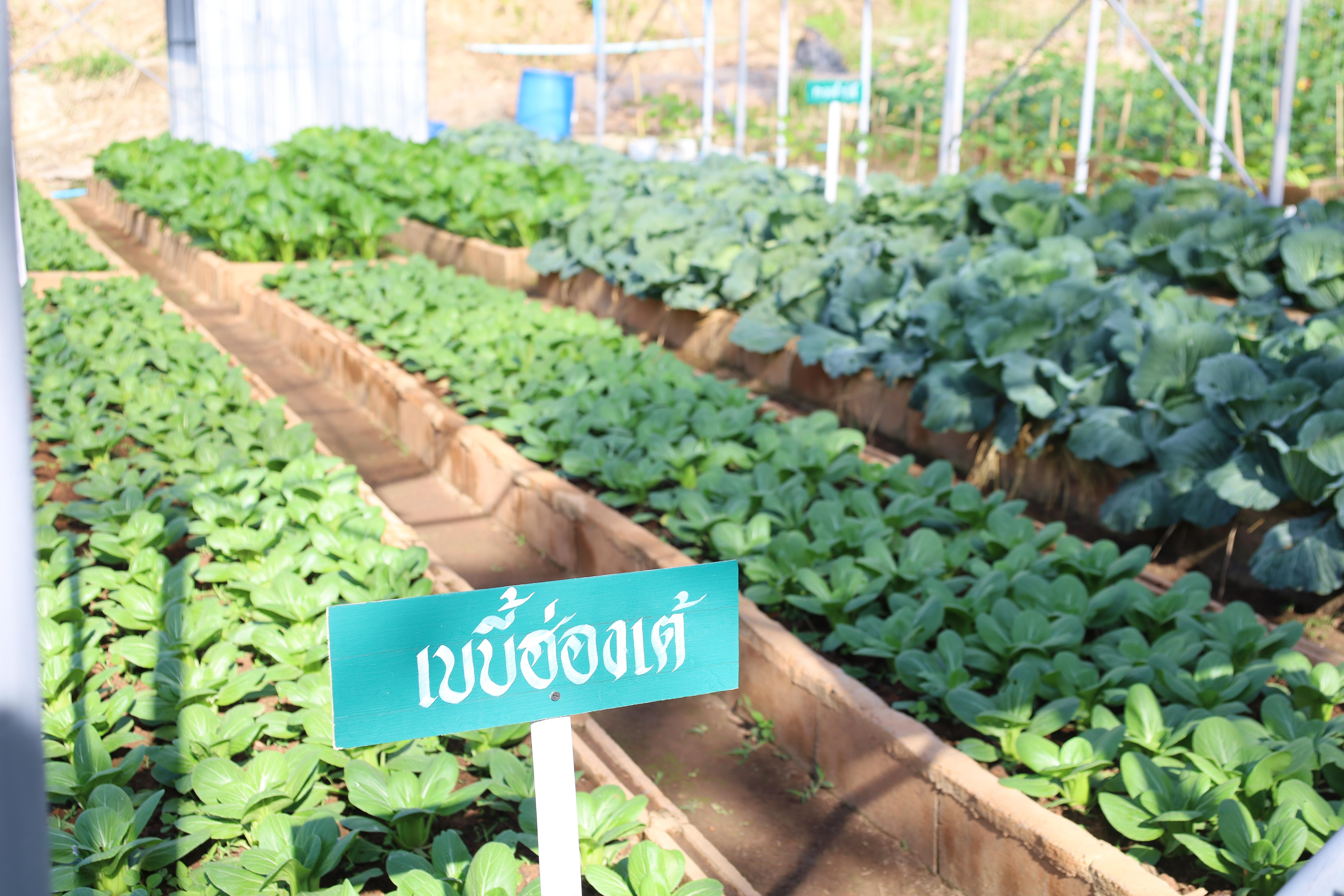 6. รับเสด็จฯ สมเด็จพระกนิษฐาธิราชเจ้า กรมสมเด็จพระเทพรัตนราชสุดาฯ สยามบรมราชกุมารี