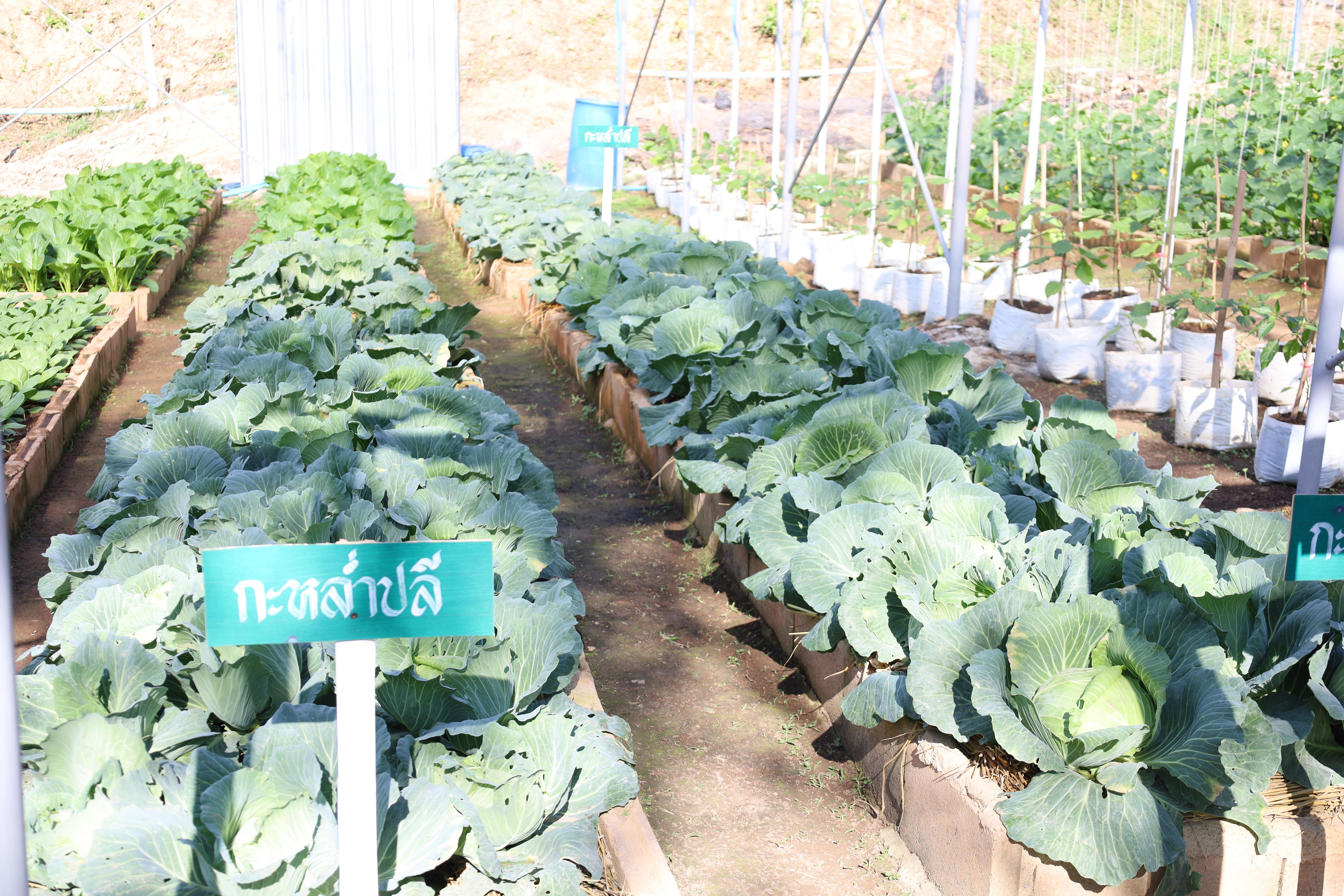 7. รับเสด็จฯ สมเด็จพระกนิษฐาธิราชเจ้า กรมสมเด็จพระเทพรัตนราชสุดาฯ สยามบรมราชกุมารี