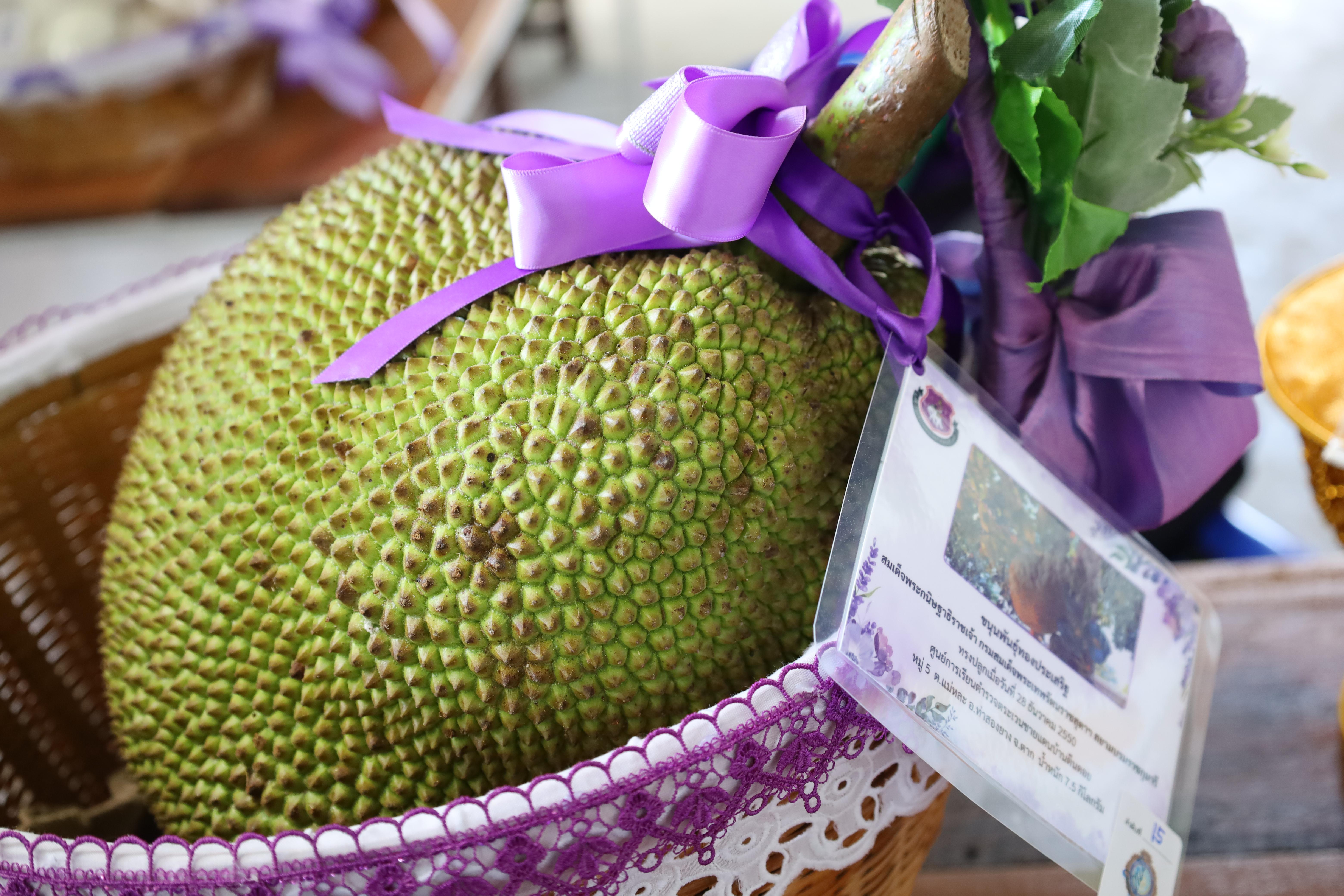 55. รับเสด็จฯ สมเด็จพระกนิษฐาธิราชเจ้า กรมสมเด็จพระเทพรัตนราชสุดาฯ สยามบรมราชกุมารี