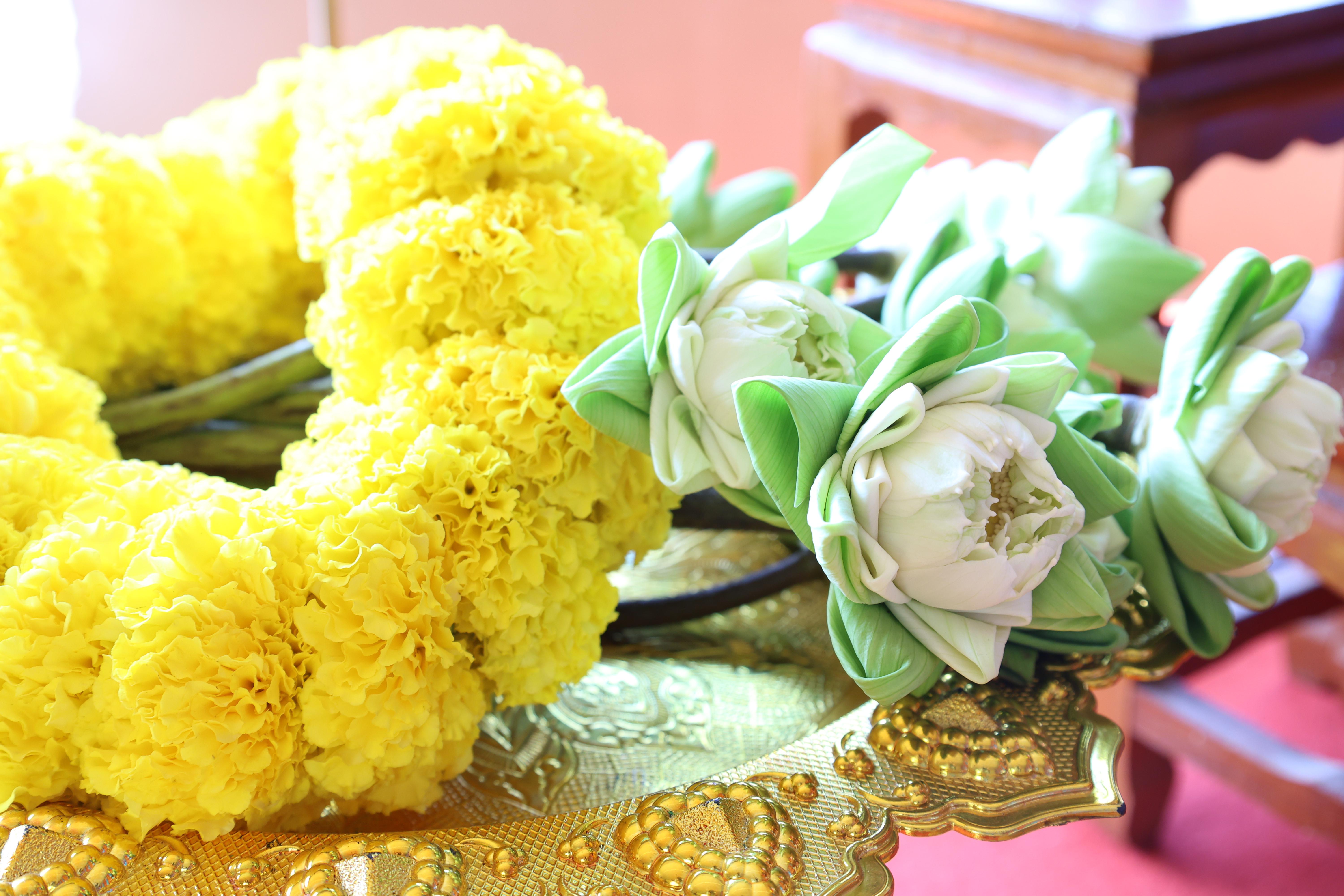 70. ทำบุญปีใหม่โปรแกรมวิชาพลศึกษา