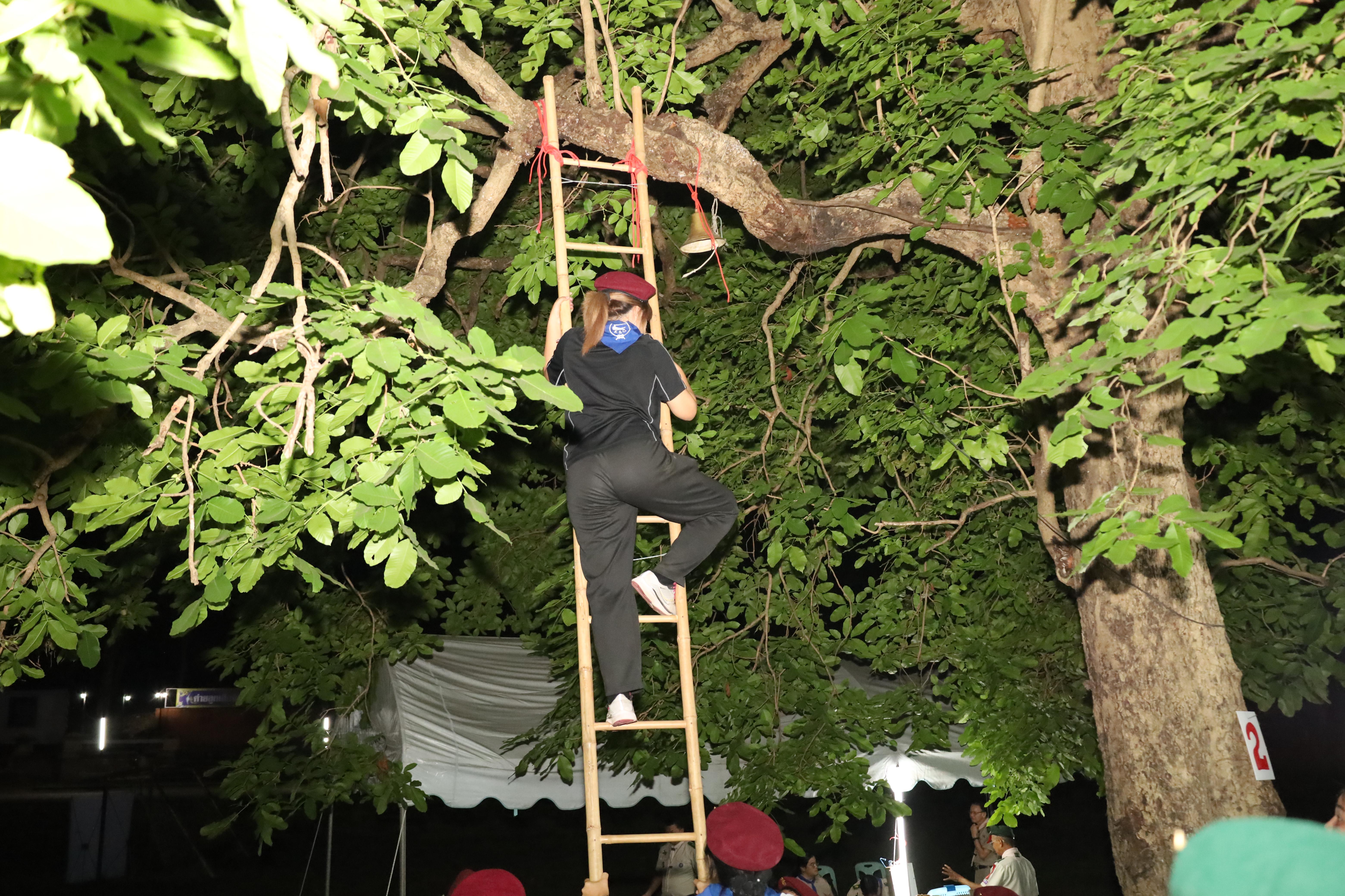 314. กิจกรรมอบรมวิชาผู้กำกับลูกเสือ ขั้นความรู้เบื้องต้น สำหรับนักศึกษาหลักสูตรประกาศนียบัตรบัณฑิต สาขาวิชาชีพครู ประจำปีการศึกษา 2568