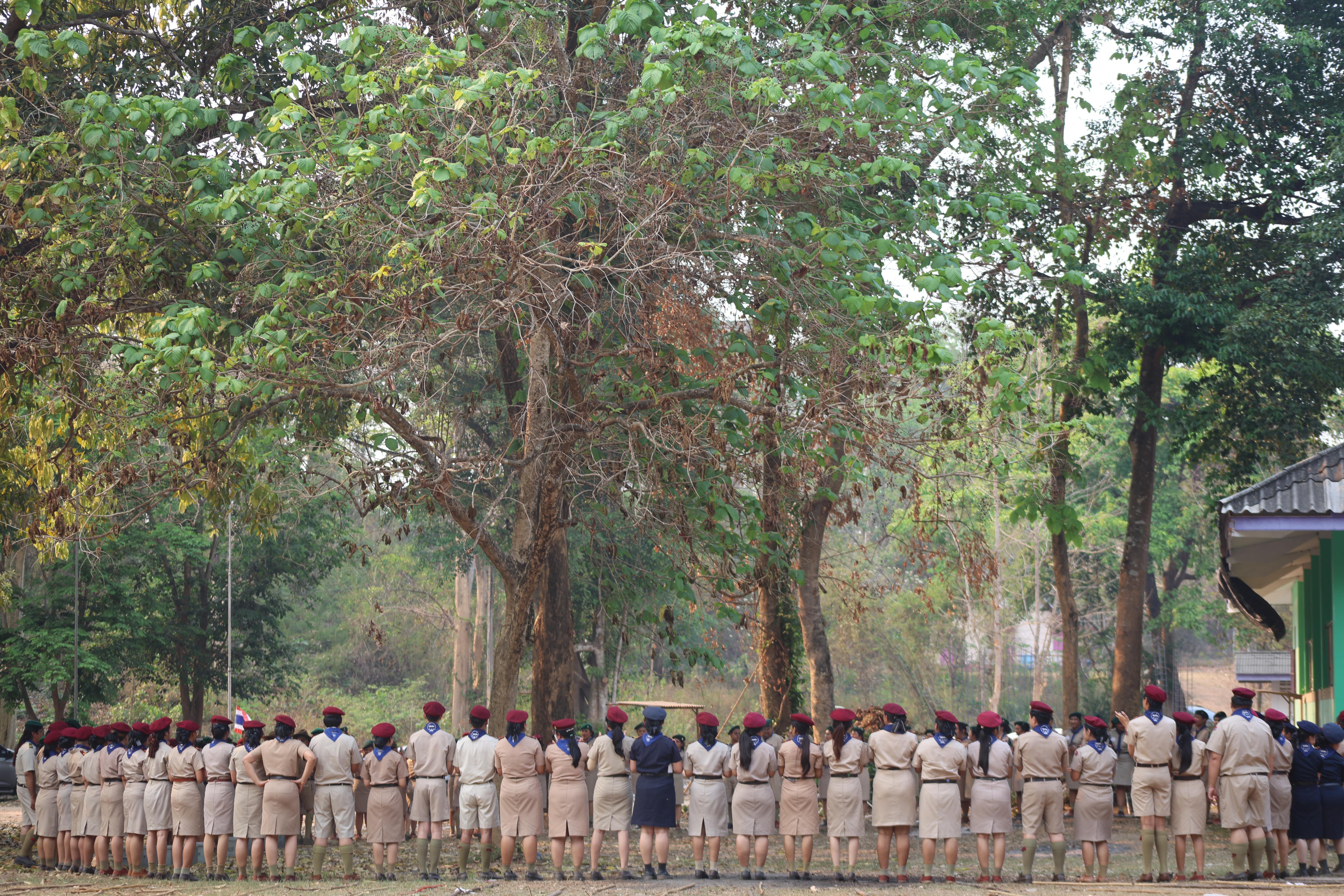 1788. กิจกรรมอบรมวิชาผู้กำกับลูกเสือ ขั้นความรู้เบื้องต้น สำหรับนักศึกษาหลักสูตรประกาศนียบัตรบัณฑิต สาขาวิชาชีพครู ประจำปีการศึกษา 2568