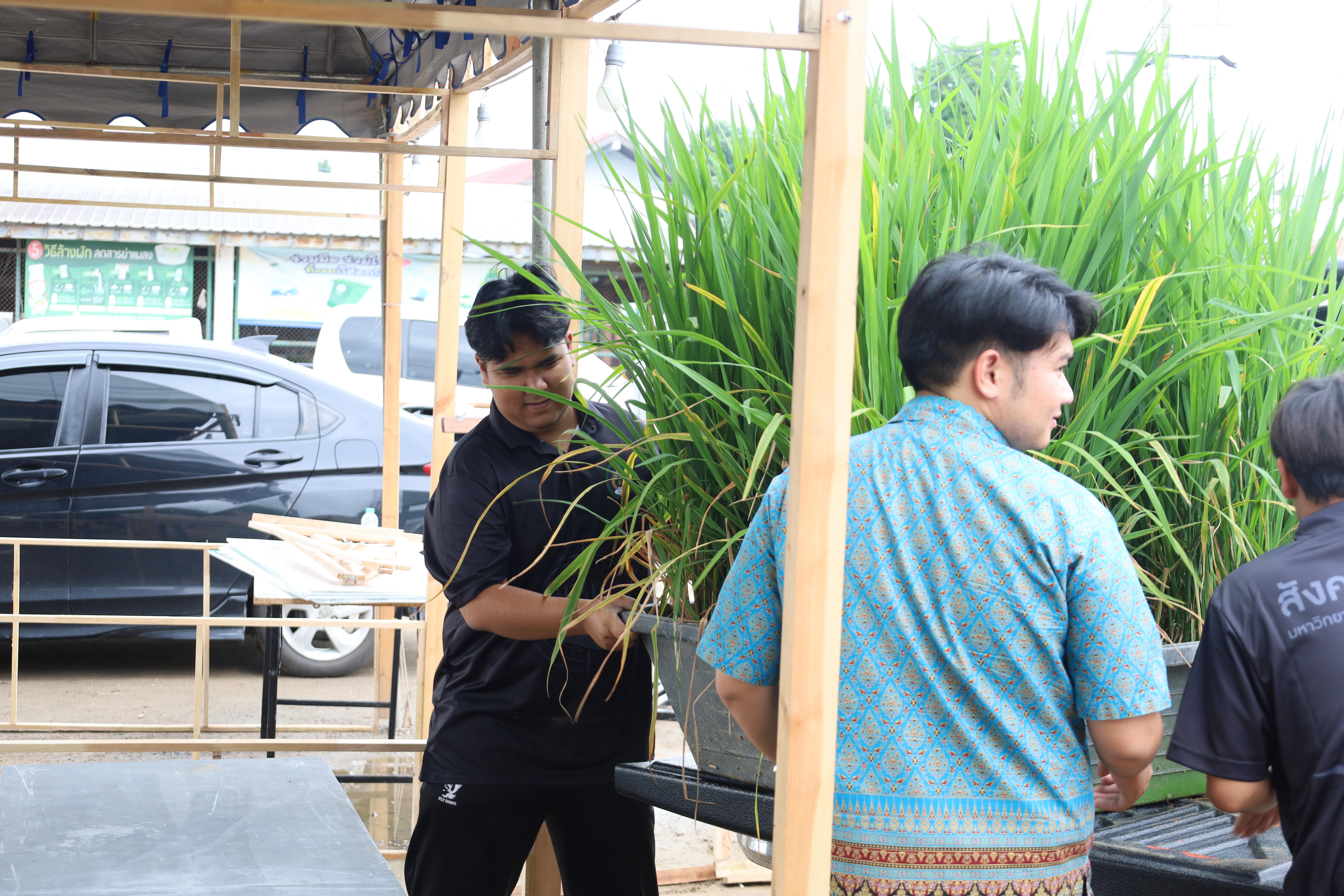 22. ที่นี่ท่าพุทรา