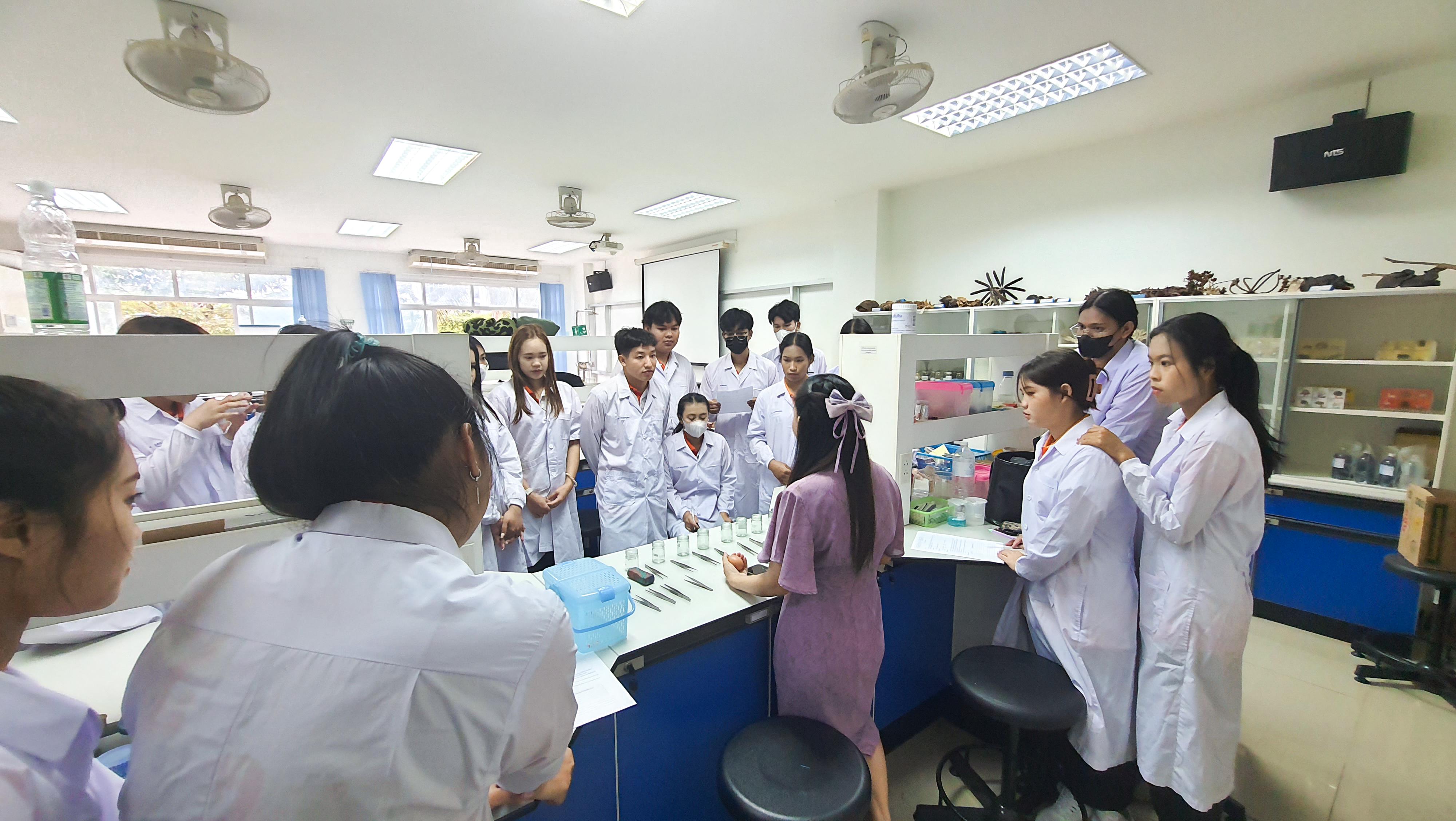 2. วันที่ 12 พฤศจิกายน 2667  ผศ.ดร.ปราณี เลิศแก้ว จัดการเรียนการสอนในรายวิชาวิทยาศาสตร์ชีวภาพของนักศึกษาโปรแกรมวิชาวิทยาศาสตร์ทั่วไป ชั้นปีที่ 3 ได้ทำแลปปฏิบัติการ เรื่องการแบ่งเซลล์แบบไมโอซิสของดอกกุ๋ยช่าย
