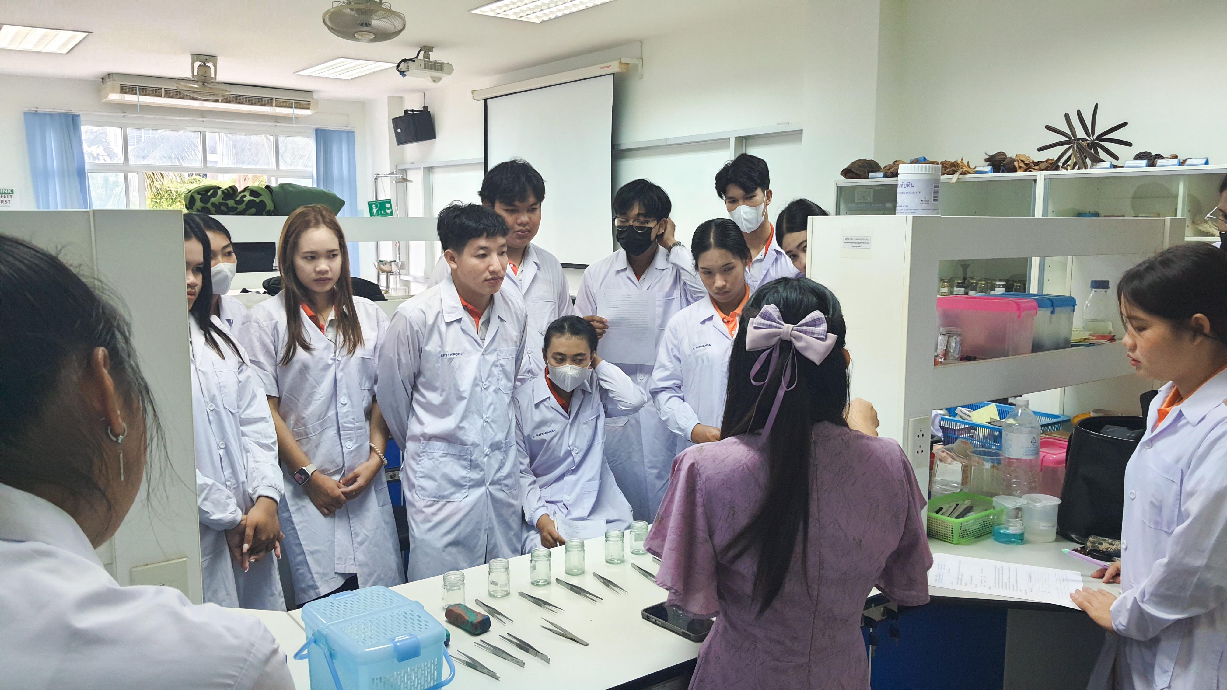 4. วันที่ 12 พฤศจิกายน 2667  ผศ.ดร.ปราณี เลิศแก้ว จัดการเรียนการสอนในรายวิชาวิทยาศาสตร์ชีวภาพของนักศึกษาโปรแกรมวิชาวิทยาศาสตร์ทั่วไป ชั้นปีที่ 3 ได้ทำแลปปฏิบัติการ เรื่องการแบ่งเซลล์แบบไมโอซิสของดอกกุ๋ยช่าย