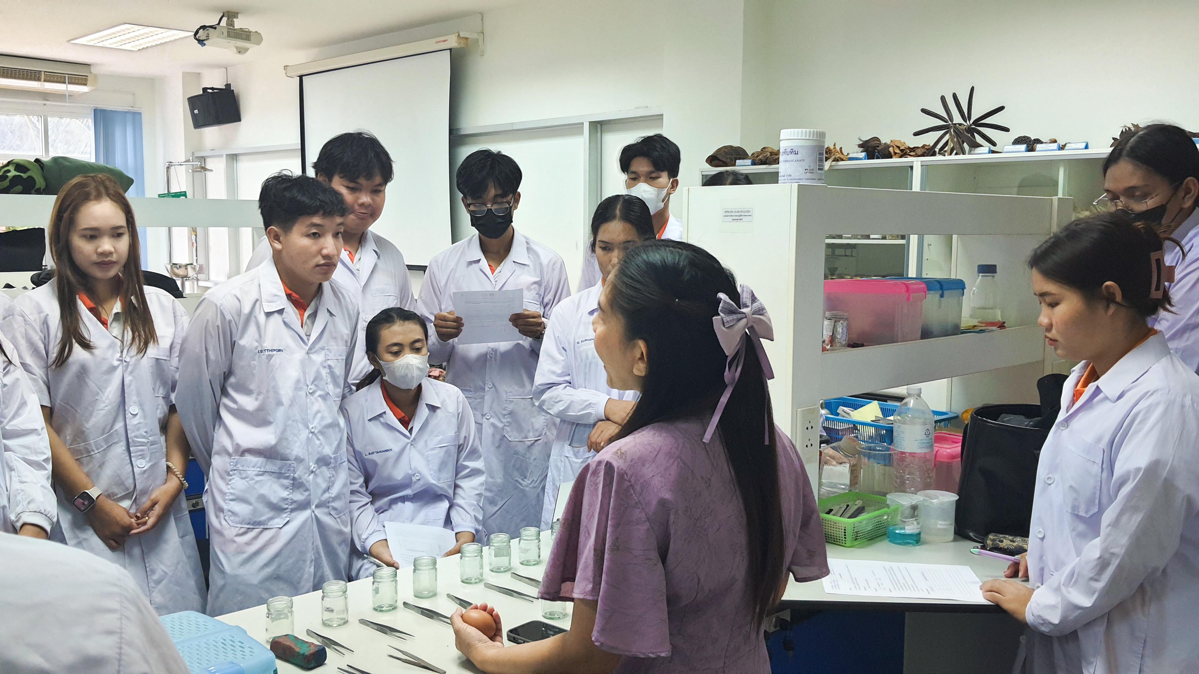 5. วันที่ 12 พฤศจิกายน 2667  ผศ.ดร.ปราณี เลิศแก้ว จัดการเรียนการสอนในรายวิชาวิทยาศาสตร์ชีวภาพของนักศึกษาโปรแกรมวิชาวิทยาศาสตร์ทั่วไป ชั้นปีที่ 3 ได้ทำแลปปฏิบัติการ เรื่องการแบ่งเซลล์แบบไมโอซิสของดอกกุ๋ยช่าย