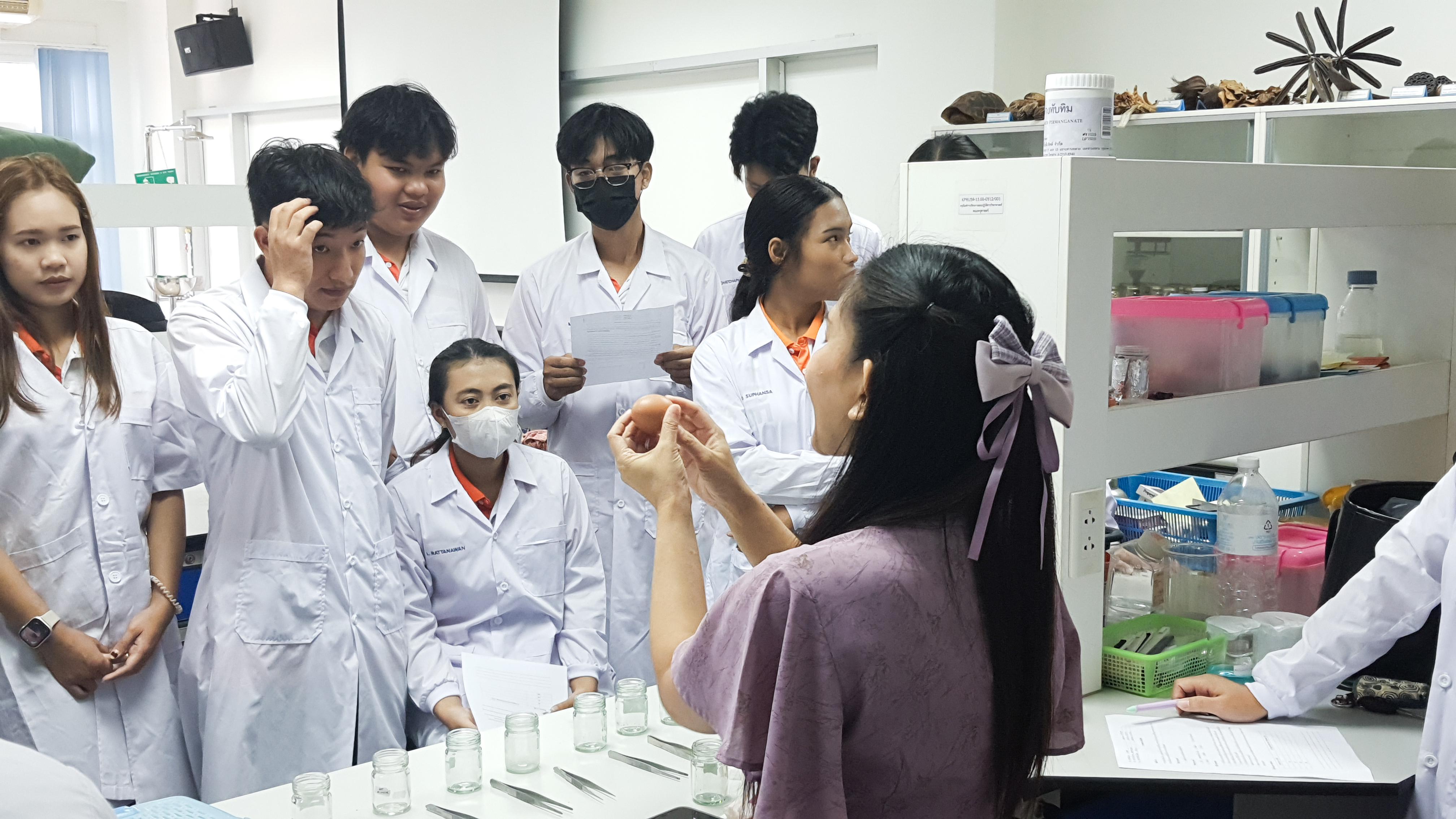 7. วันที่ 12 พฤศจิกายน 2667  ผศ.ดร.ปราณี เลิศแก้ว จัดการเรียนการสอนในรายวิชาวิทยาศาสตร์ชีวภาพของนักศึกษาโปรแกรมวิชาวิทยาศาสตร์ทั่วไป ชั้นปีที่ 3 ได้ทำแลปปฏิบัติการ เรื่องการแบ่งเซลล์แบบไมโอซิสของดอกกุ๋ยช่าย