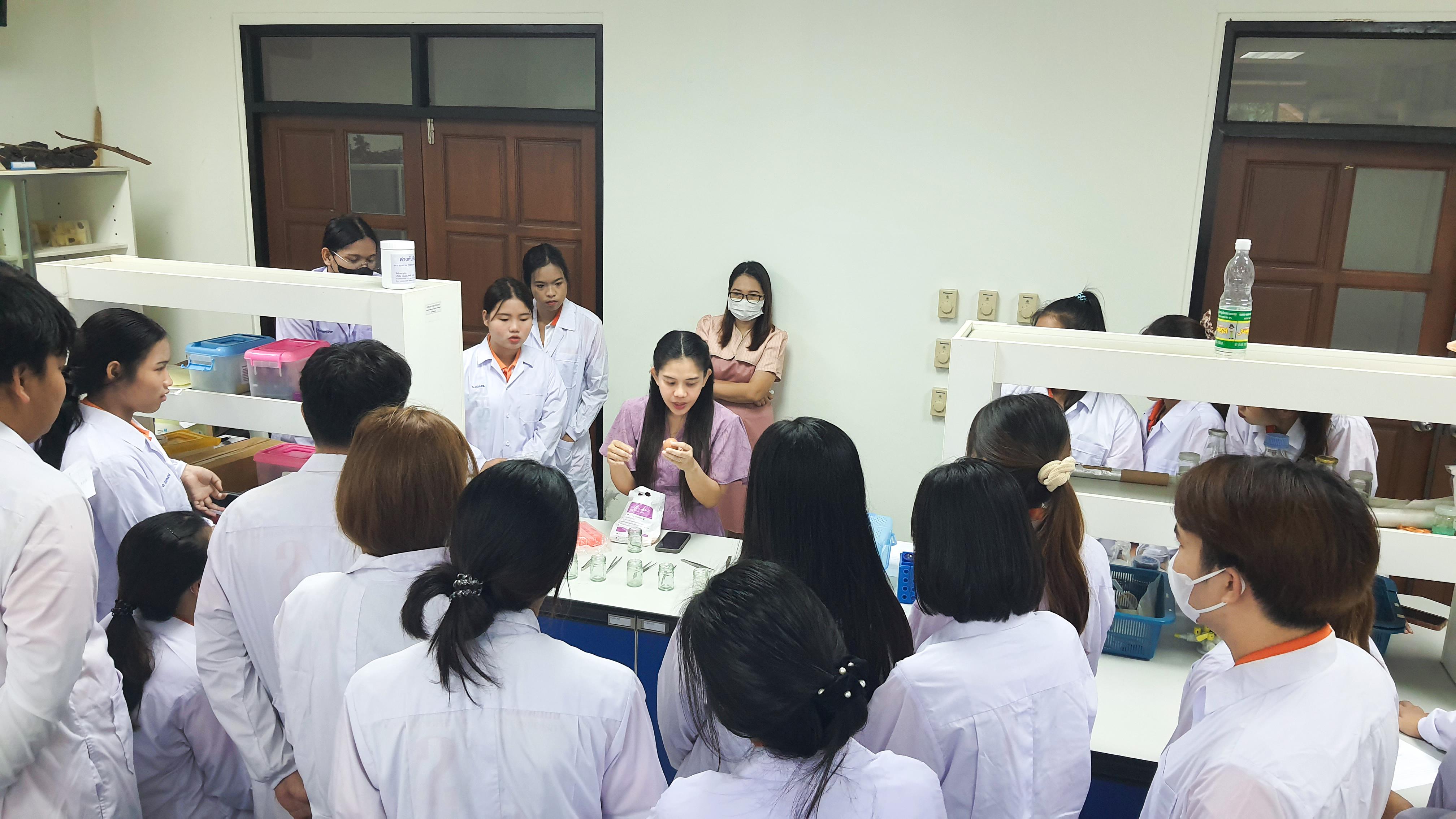 10. วันที่ 12 พฤศจิกายน 2667  ผศ.ดร.ปราณี เลิศแก้ว จัดการเรียนการสอนในรายวิชาวิทยาศาสตร์ชีวภาพของนักศึกษาโปรแกรมวิชาวิทยาศาสตร์ทั่วไป ชั้นปีที่ 3 ได้ทำแลปปฏิบัติการ เรื่องการแบ่งเซลล์แบบไมโอซิสของดอกกุ๋ยช่าย