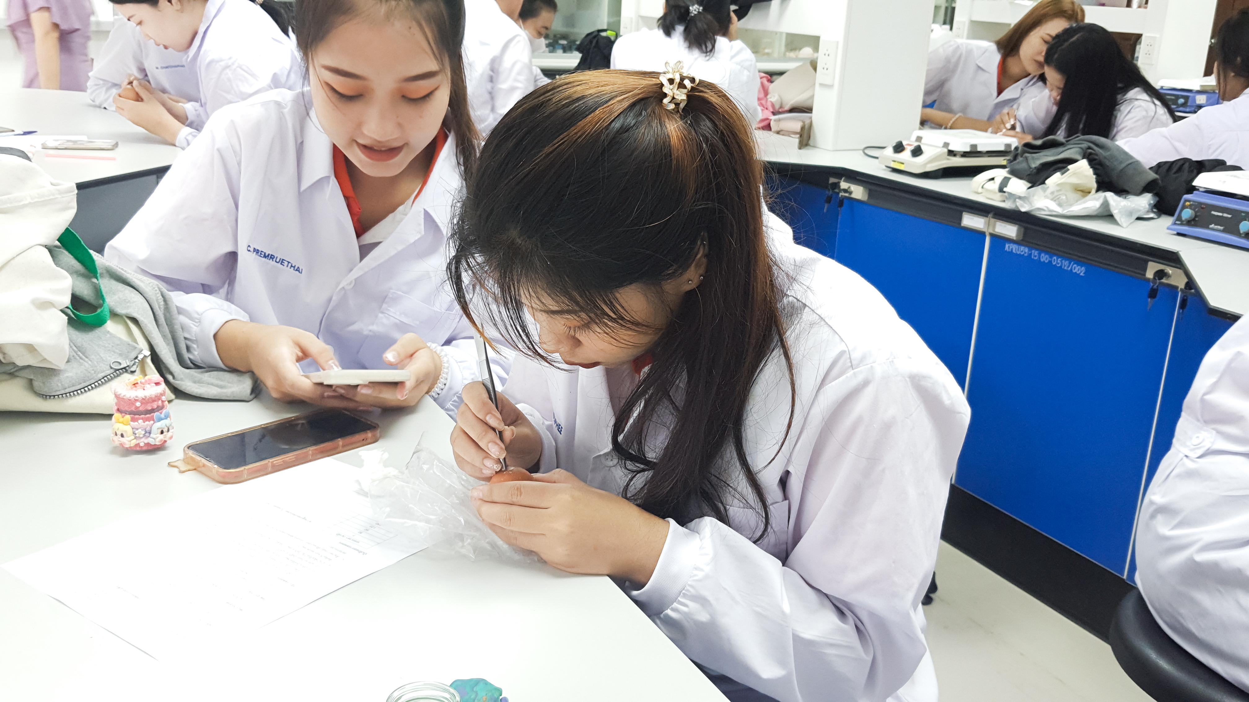 21. วันที่ 12 พฤศจิกายน 2667  ผศ.ดร.ปราณี เลิศแก้ว จัดการเรียนการสอนในรายวิชาวิทยาศาสตร์ชีวภาพของนักศึกษาโปรแกรมวิชาวิทยาศาสตร์ทั่วไป ชั้นปีที่ 3 ได้ทำแลปปฏิบัติการ เรื่องการแบ่งเซลล์แบบไมโอซิสของดอกกุ๋ยช่าย
