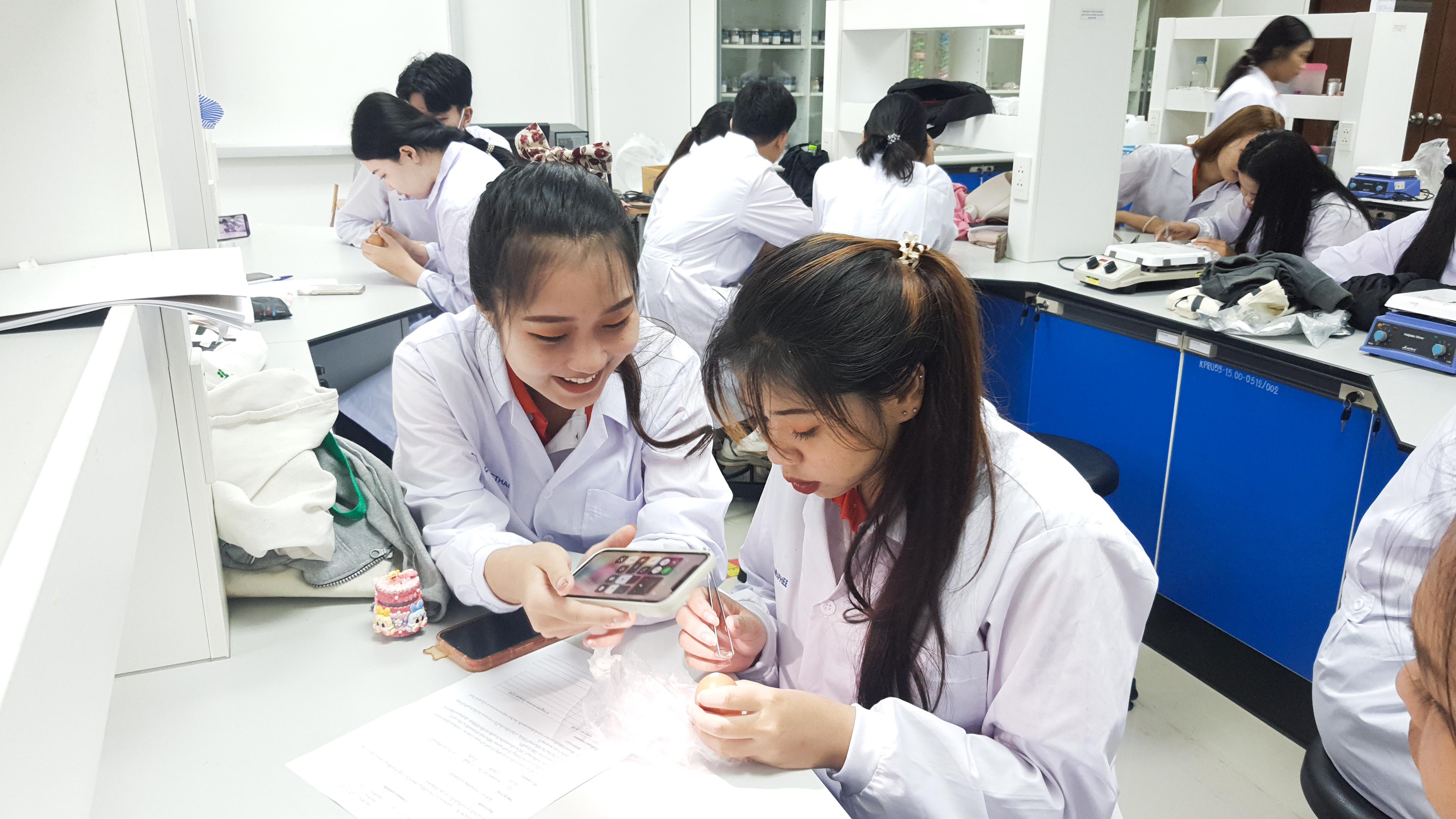 22. วันที่ 12 พฤศจิกายน 2667  ผศ.ดร.ปราณี เลิศแก้ว จัดการเรียนการสอนในรายวิชาวิทยาศาสตร์ชีวภาพของนักศึกษาโปรแกรมวิชาวิทยาศาสตร์ทั่วไป ชั้นปีที่ 3 ได้ทำแลปปฏิบัติการ เรื่องการแบ่งเซลล์แบบไมโอซิสของดอกกุ๋ยช่าย