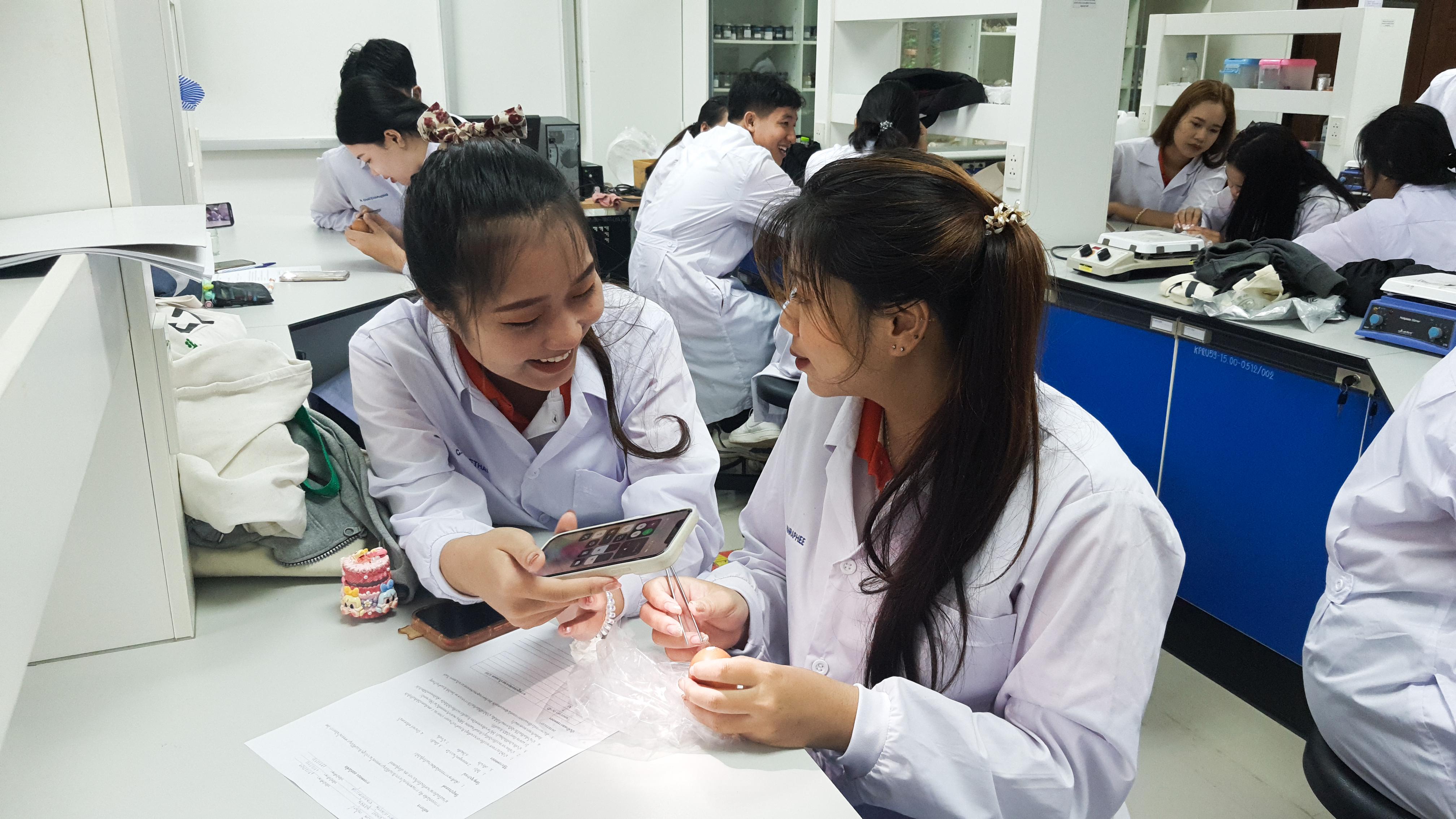 24. วันที่ 12 พฤศจิกายน 2667  ผศ.ดร.ปราณี เลิศแก้ว จัดการเรียนการสอนในรายวิชาวิทยาศาสตร์ชีวภาพของนักศึกษาโปรแกรมวิชาวิทยาศาสตร์ทั่วไป ชั้นปีที่ 3 ได้ทำแลปปฏิบัติการ เรื่องการแบ่งเซลล์แบบไมโอซิสของดอกกุ๋ยช่าย