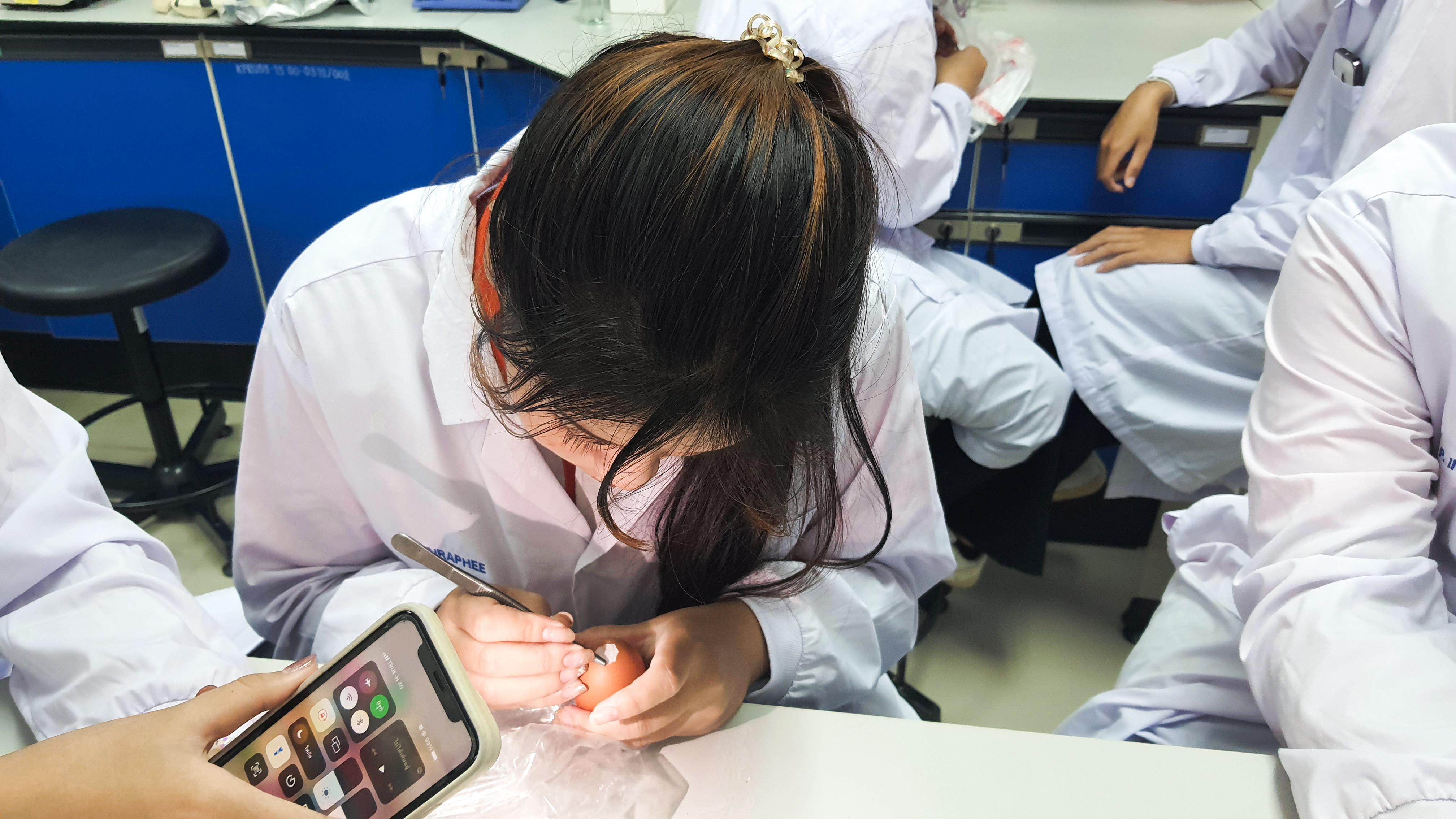27. วันที่ 12 พฤศจิกายน 2667  ผศ.ดร.ปราณี เลิศแก้ว จัดการเรียนการสอนในรายวิชาวิทยาศาสตร์ชีวภาพของนักศึกษาโปรแกรมวิชาวิทยาศาสตร์ทั่วไป ชั้นปีที่ 3 ได้ทำแลปปฏิบัติการ เรื่องการแบ่งเซลล์แบบไมโอซิสของดอกกุ๋ยช่าย