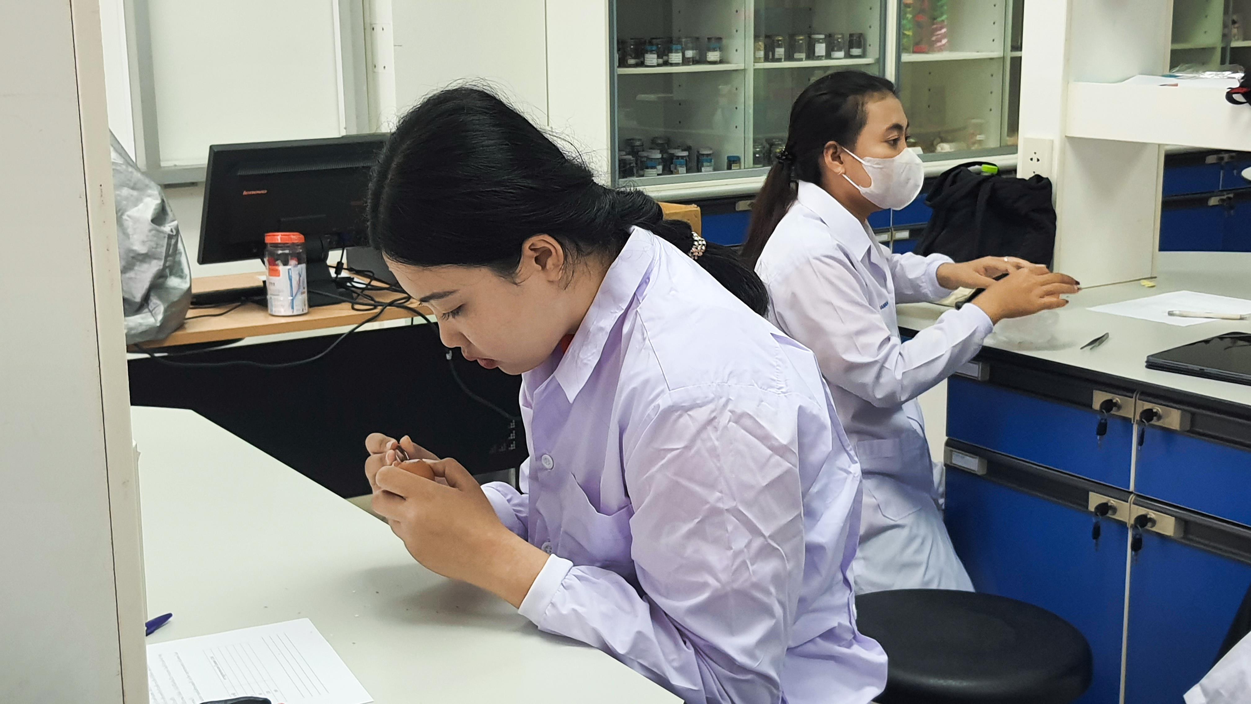 28. วันที่ 12 พฤศจิกายน 2667  ผศ.ดร.ปราณี เลิศแก้ว จัดการเรียนการสอนในรายวิชาวิทยาศาสตร์ชีวภาพของนักศึกษาโปรแกรมวิชาวิทยาศาสตร์ทั่วไป ชั้นปีที่ 3 ได้ทำแลปปฏิบัติการ เรื่องการแบ่งเซลล์แบบไมโอซิสของดอกกุ๋ยช่าย