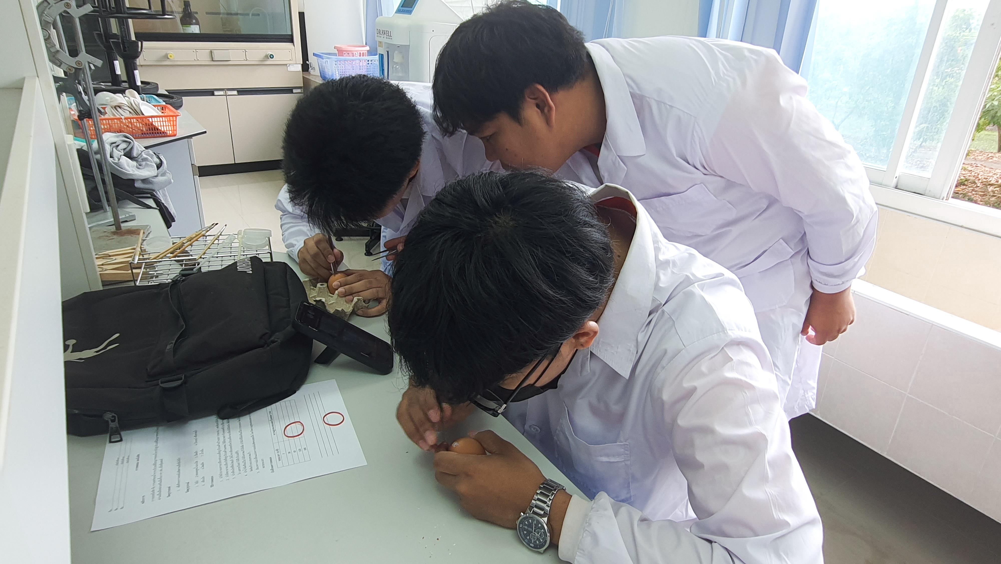 33. วันที่ 12 พฤศจิกายน 2667  ผศ.ดร.ปราณี เลิศแก้ว จัดการเรียนการสอนในรายวิชาวิทยาศาสตร์ชีวภาพของนักศึกษาโปรแกรมวิชาวิทยาศาสตร์ทั่วไป ชั้นปีที่ 3 ได้ทำแลปปฏิบัติการ เรื่องการแบ่งเซลล์แบบไมโอซิสของดอกกุ๋ยช่าย