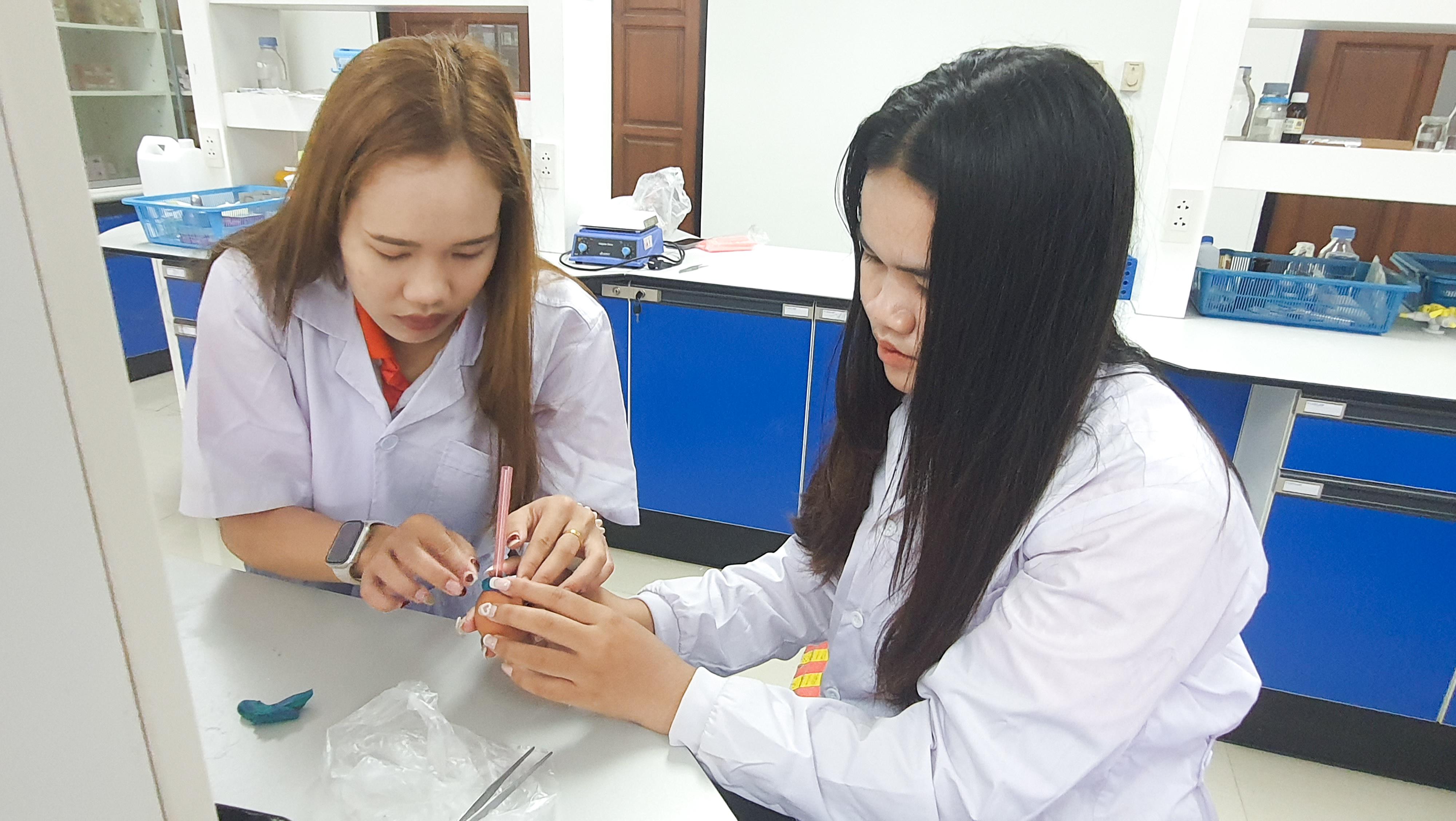47. วันที่ 12 พฤศจิกายน 2667  ผศ.ดร.ปราณี เลิศแก้ว จัดการเรียนการสอนในรายวิชาวิทยาศาสตร์ชีวภาพของนักศึกษาโปรแกรมวิชาวิทยาศาสตร์ทั่วไป ชั้นปีที่ 3 ได้ทำแลปปฏิบัติการ เรื่องการแบ่งเซลล์แบบไมโอซิสของดอกกุ๋ยช่าย