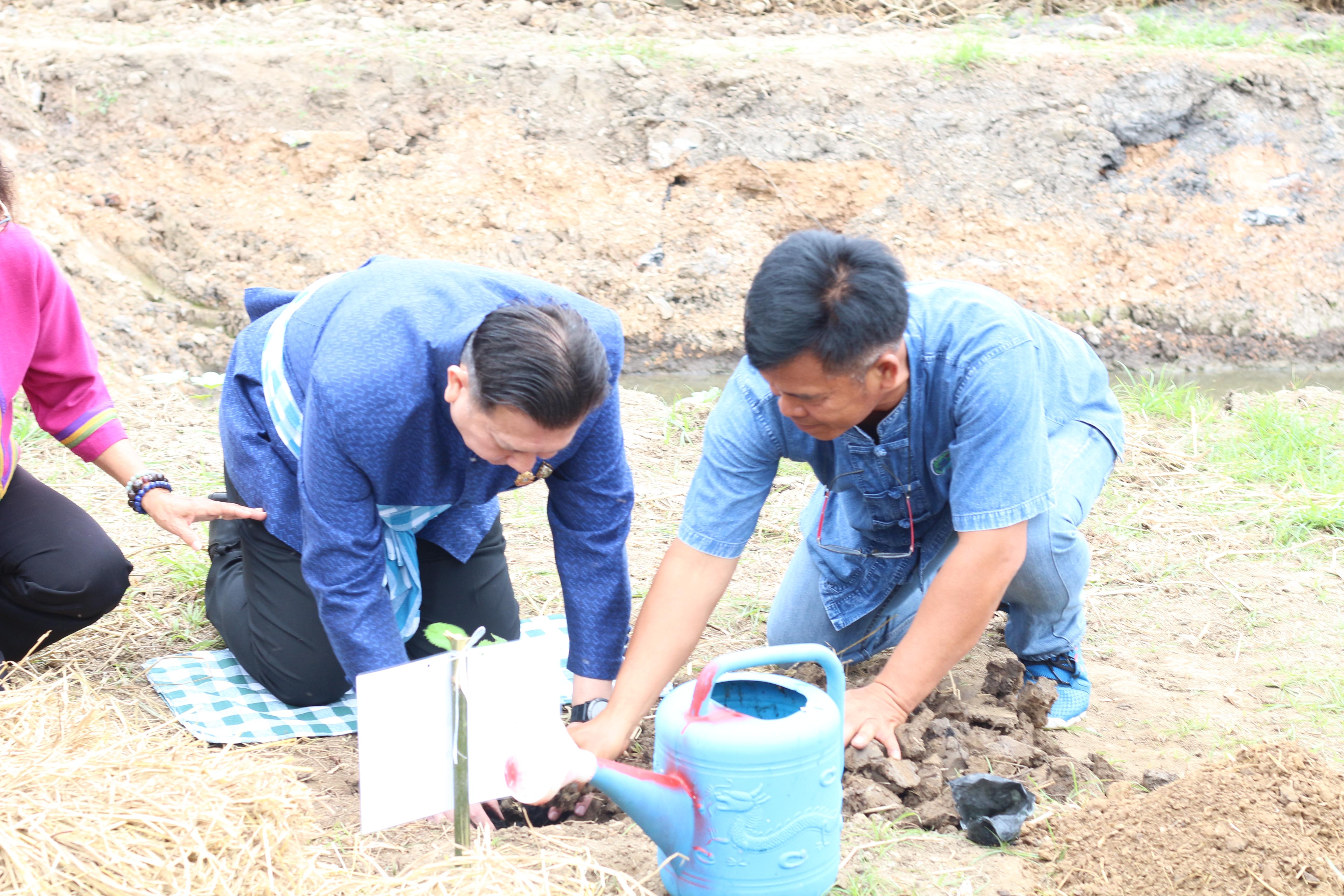 21. วันที่ 13 ธันวาคม 2567 คณะเทคโนโลยีอุตสาหกรรม จัดงานวันดินโลก