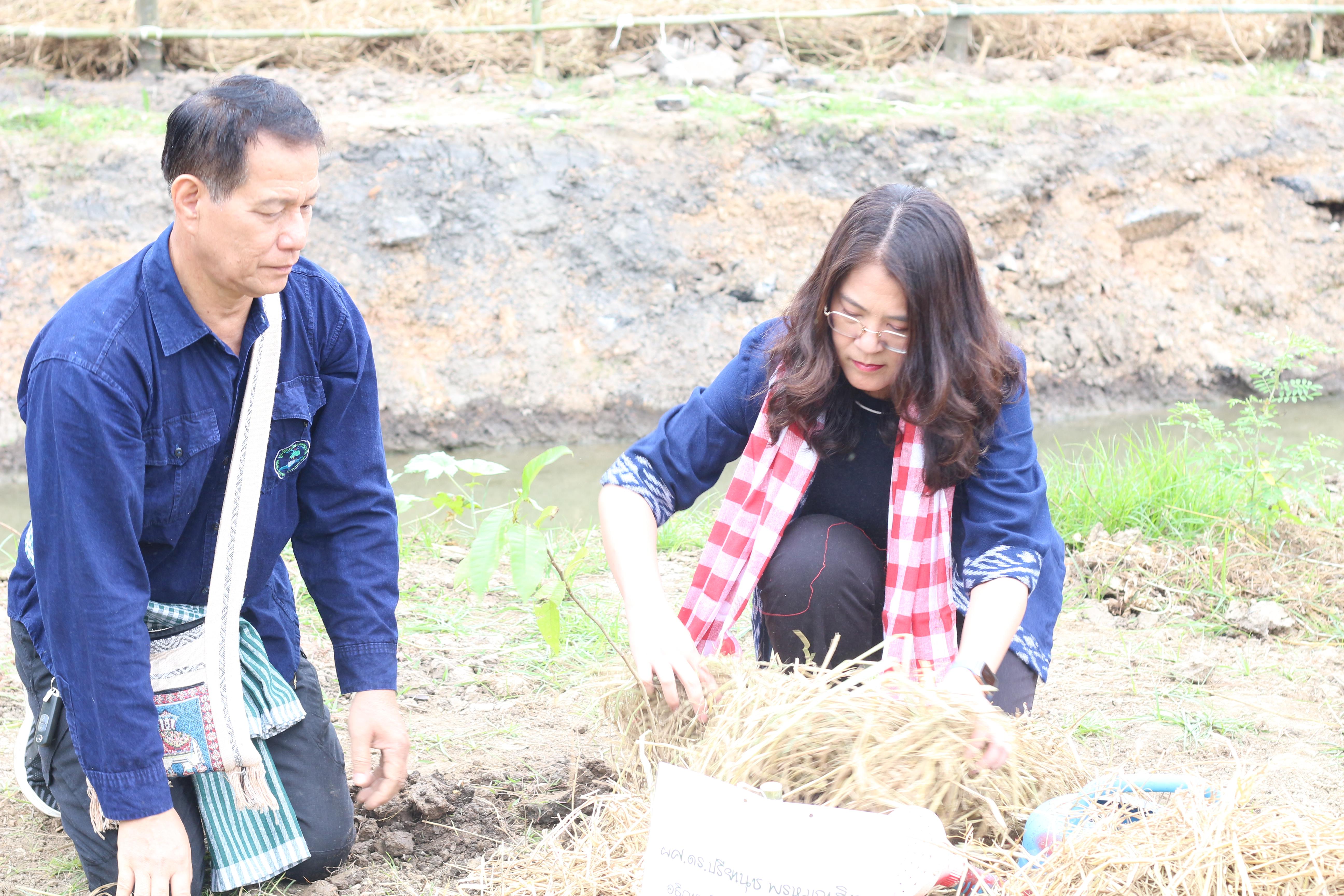24. วันที่ 13 ธันวาคม 2567 คณะเทคโนโลยีอุตสาหกรรม จัดงานวันดินโลก
