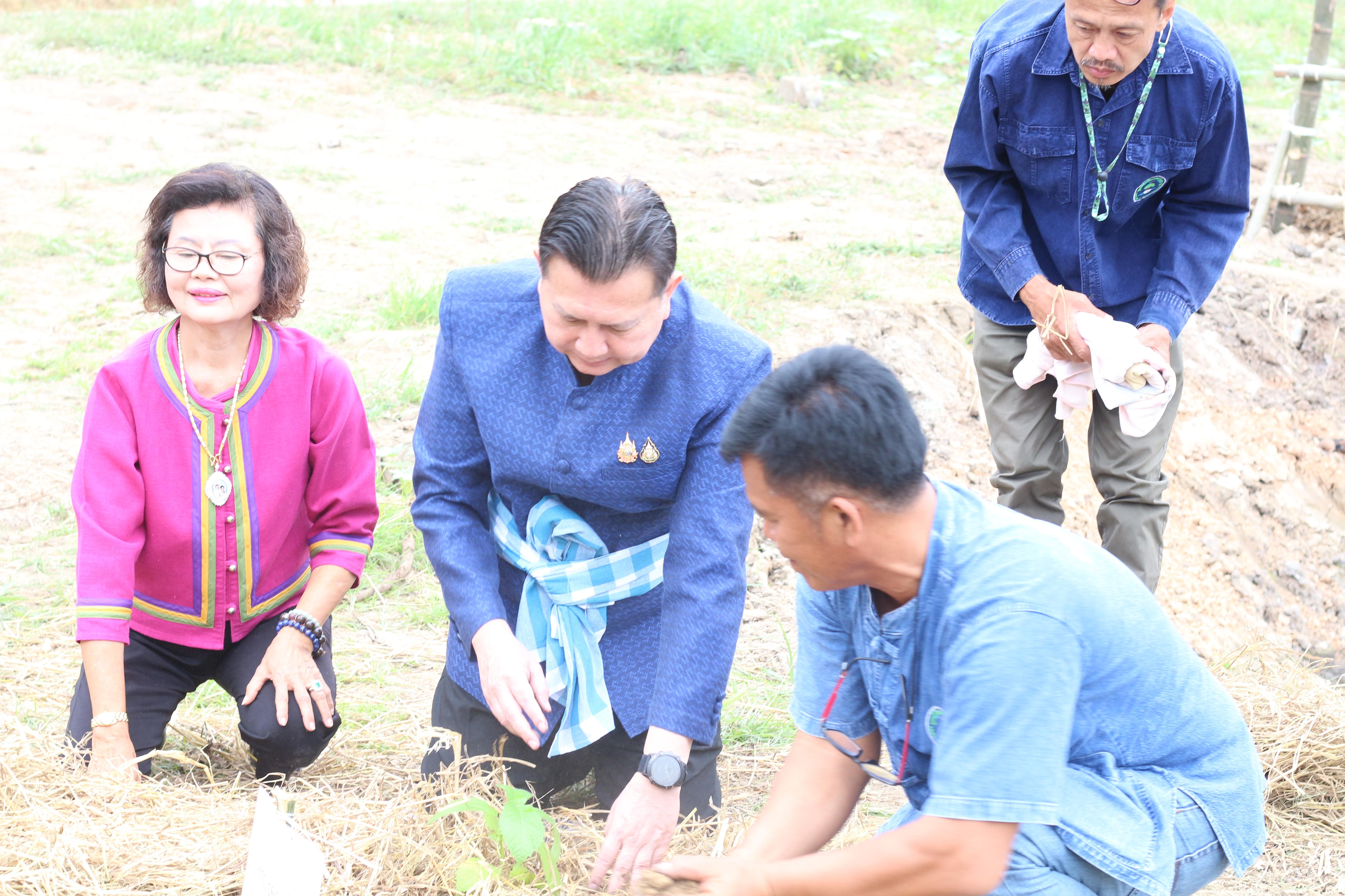25. วันที่ 13 ธันวาคม 2567 คณะเทคโนโลยีอุตสาหกรรม จัดงานวันดินโลก