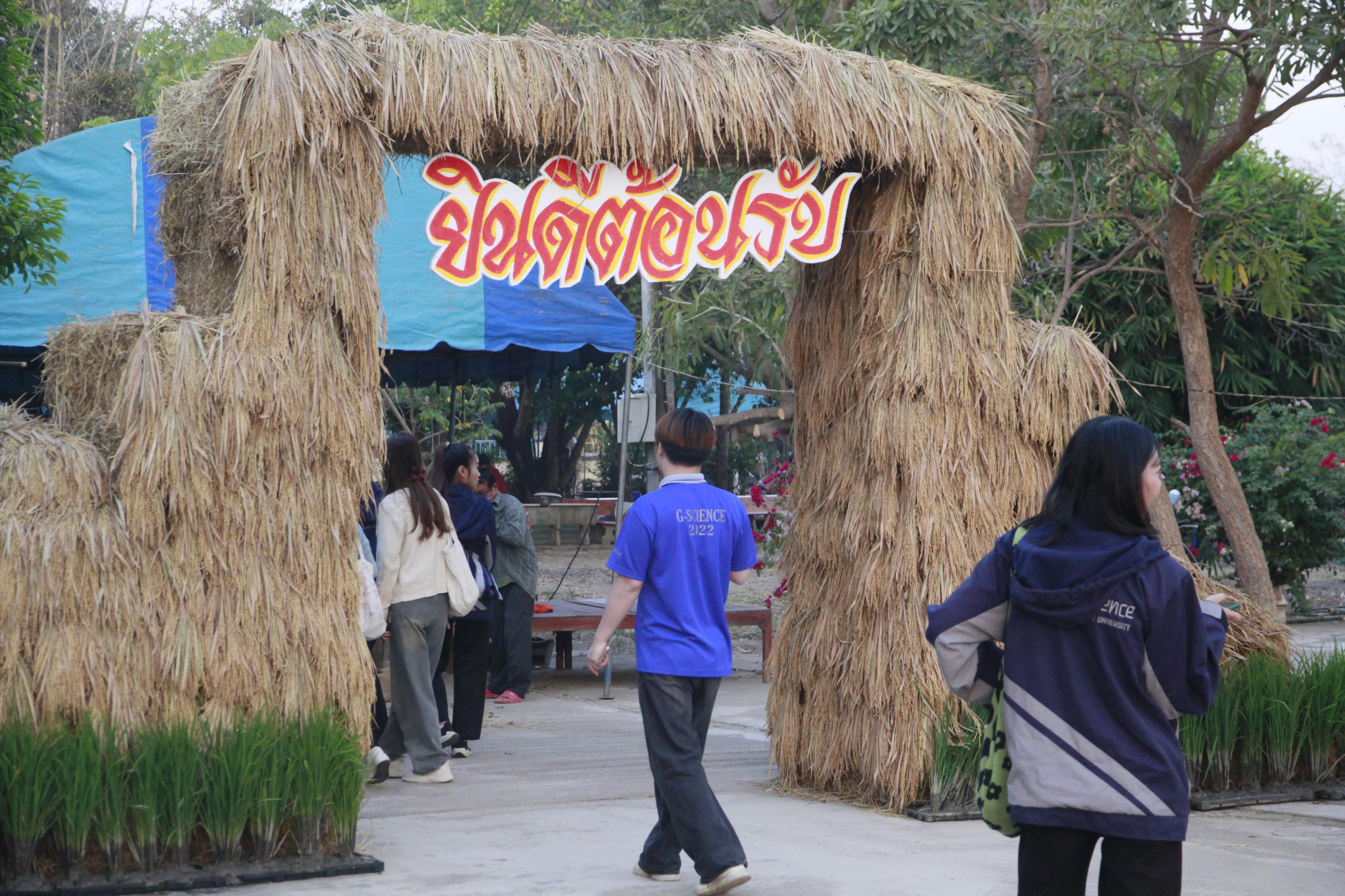 258. วันที่ 30-31 มกราคม 2568 ผศ.ดร.มณฑา หมีไพรฤกษ์ นำนักศึกษาชั้นปีที่3 เข้าร่วมงานพิธีสู่ขวัญข้าว
