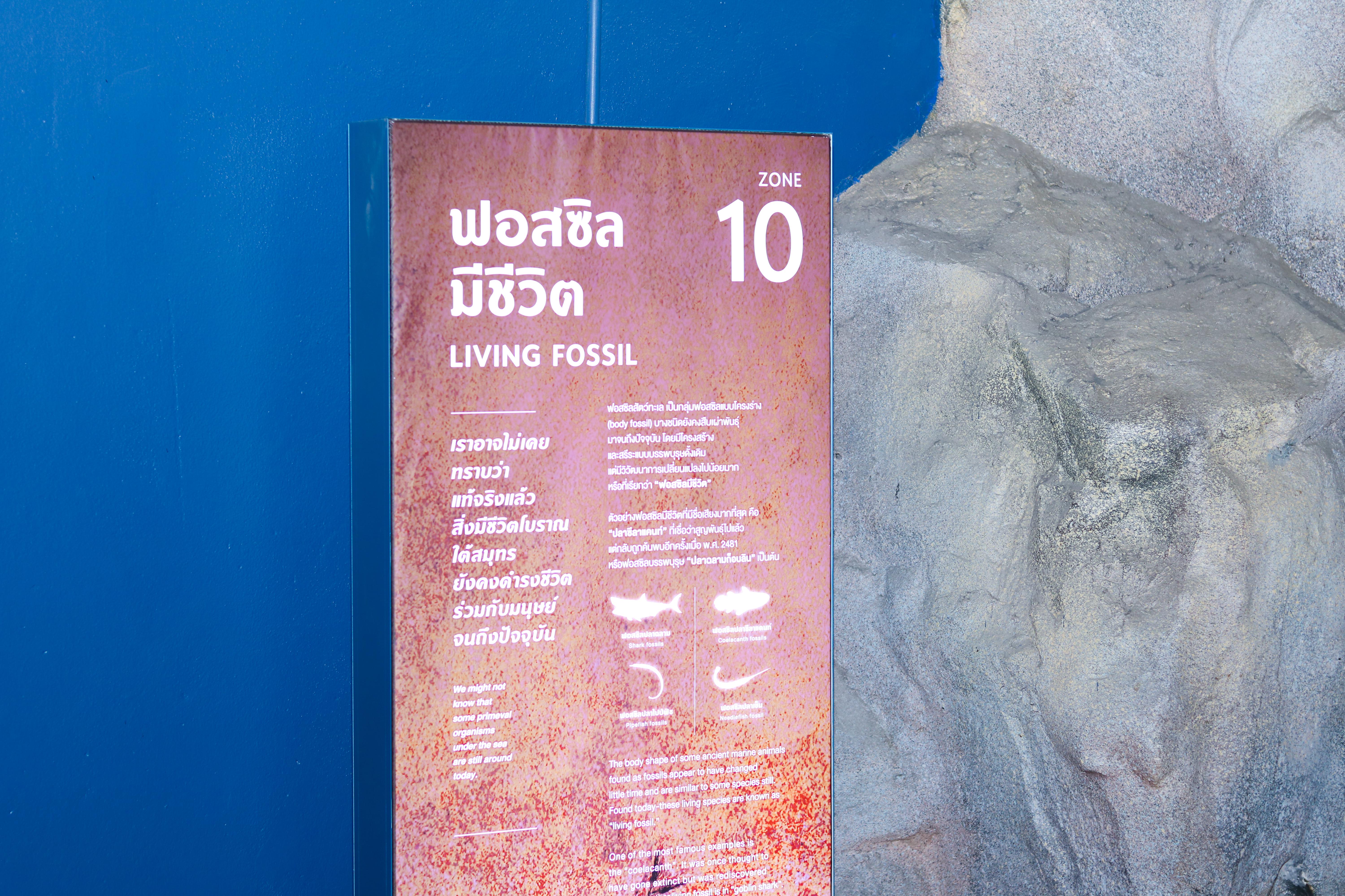 155. โครงการพัฒนานักศึกษาโปรแกรมวิชาวิทยาศาสตร์ทั่วไป กิจกรรมศึกษาดูงานทางวิทยาศาสตร์ ประจำปีการศึกษา 2568