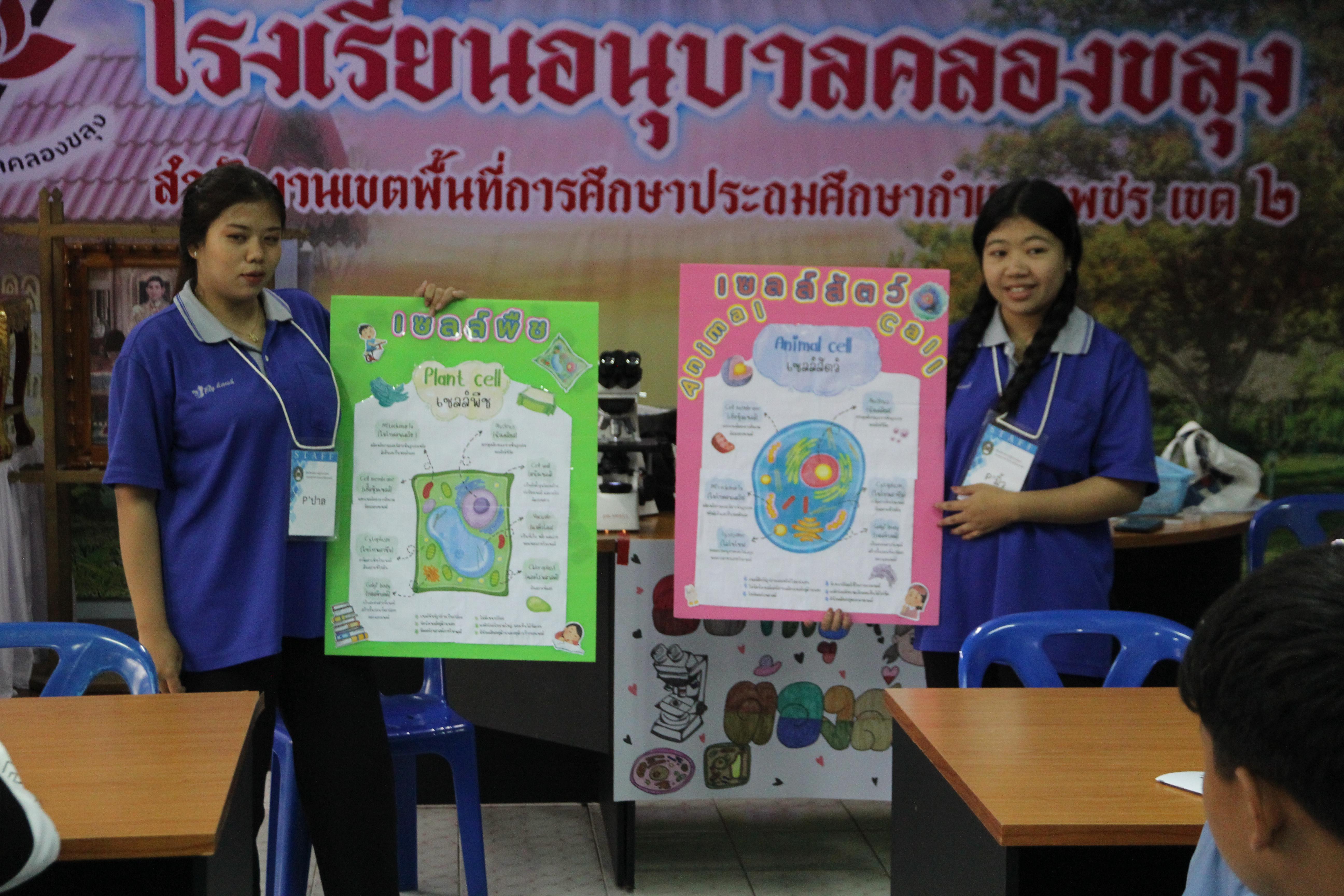 118. วันที่ 18 กุมภาพันธ์ 2568 โปรแกรมวิทยาศาสตร์ทั่วไปได้จัดกิจกรรมค่ายสเต็มศึกษา ณ โรงเรียนอนุบาลคลองขลุง อ.คลองขลุง จ.กำแพงเพชร
