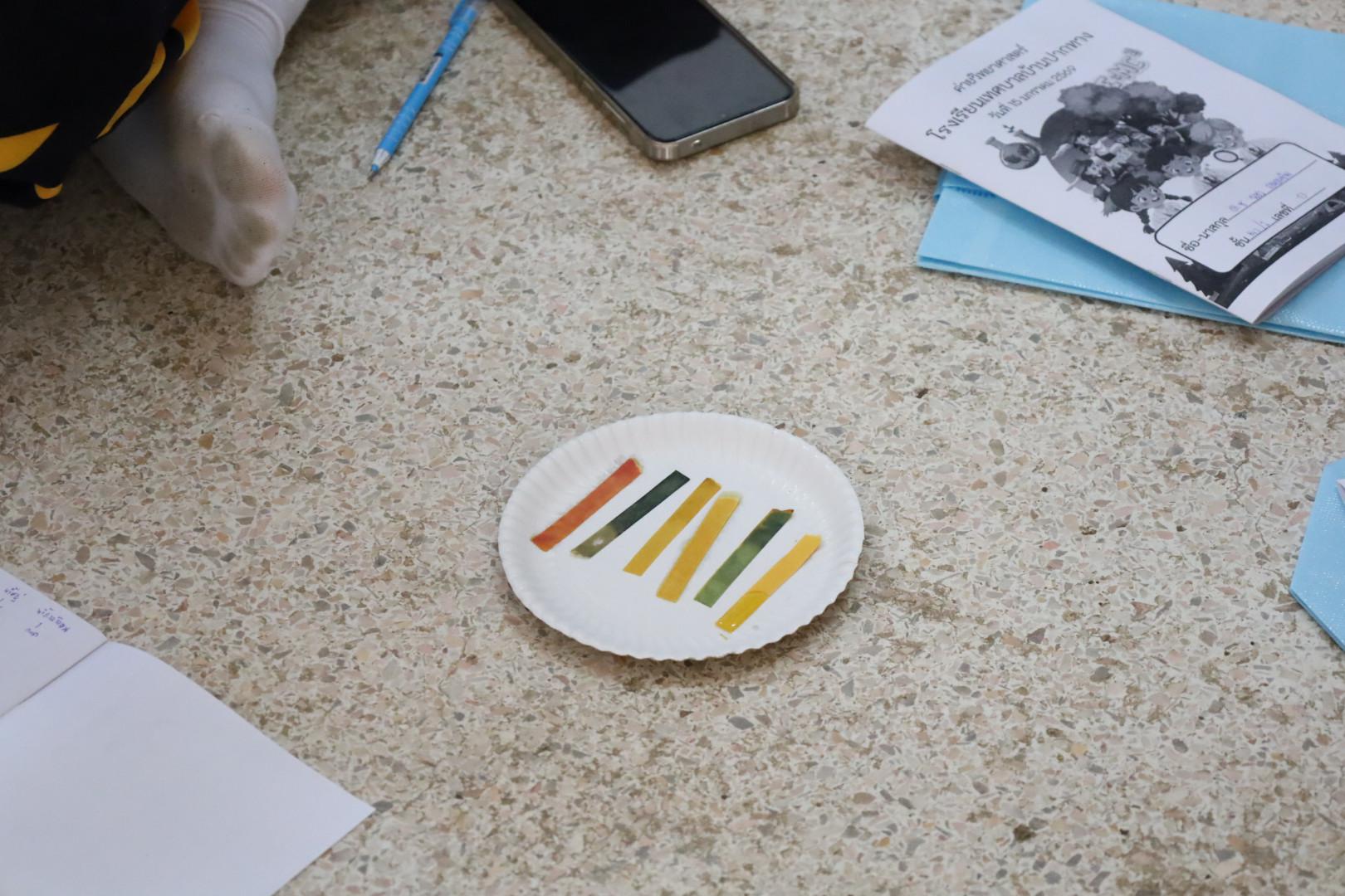 82. วันที่ 15 มกราคม 2569 นำโดยผศ.ดร.ไตรรงค์ เปลี่ยนแสง ผศ.ดร.ปราณี เลิศแก้ว  ดร.ธิดารัตน์  พรหมมา  และนักศึกษาโปรแกรมวิชาวิทยาศาสตร์ทั่วไป ได้จัดค่ายวิชาการให้กับนักเรียนชั้นมัธยมศึกษาปีที่ 3 โรงเรียนเทศบาลบ้านปากทาง จ.พิจิตร