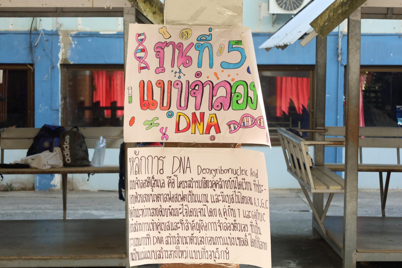 93. วันที่ 15 มกราคม 2569 นำโดยผศ.ดร.ไตรรงค์ เปลี่ยนแสง ผศ.ดร.ปราณี เลิศแก้ว  ดร.ธิดารัตน์  พรหมมา  และนักศึกษาโปรแกรมวิชาวิทยาศาสตร์ทั่วไป ได้จัดค่ายวิชาการให้กับนักเรียนชั้นมัธยมศึกษาปีที่ 3 โรงเรียนเทศบาลบ้านปากทาง จ.พิจิตร