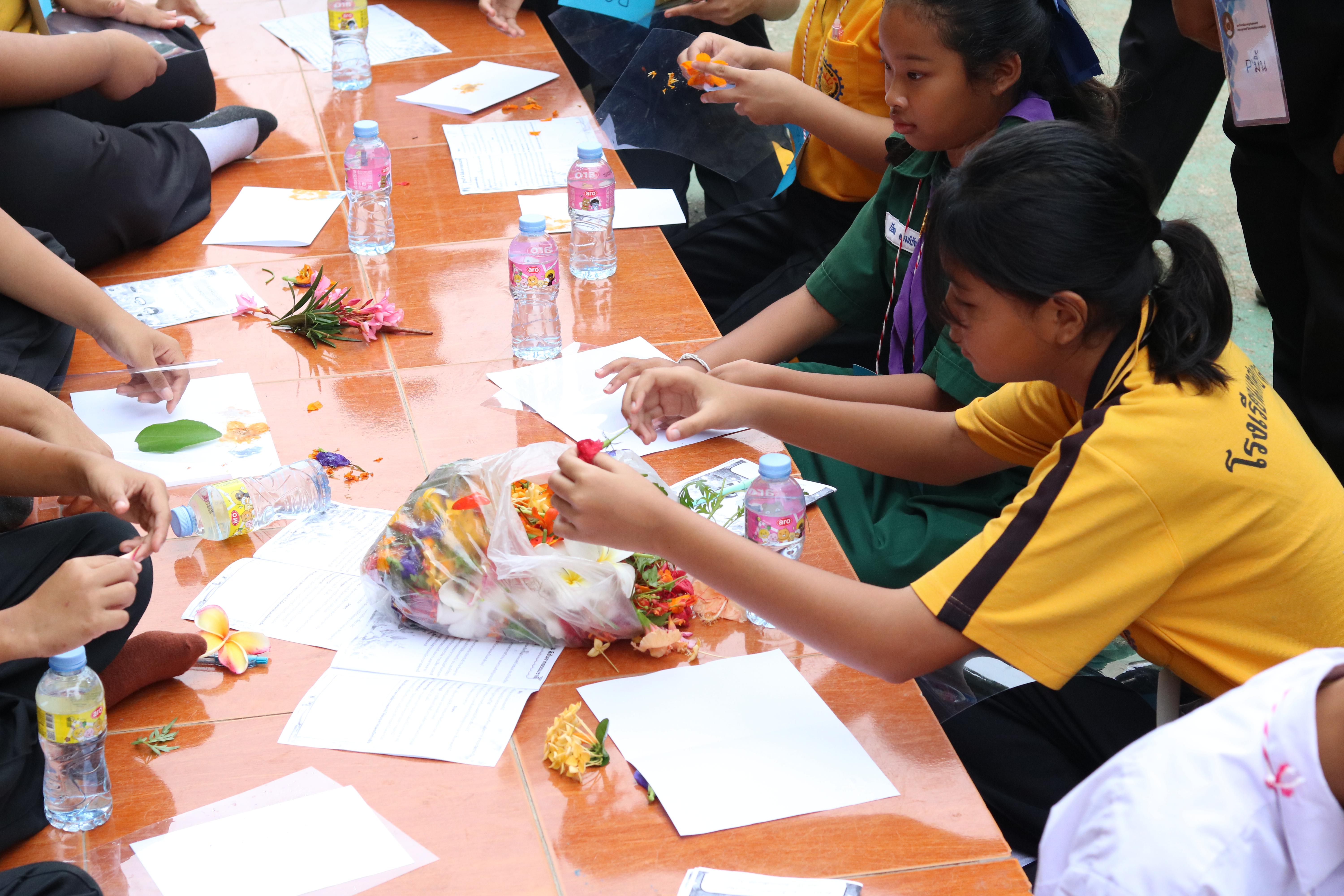 30. วันที่ 15 กรกฎาคม 2569 โปรแกรมวิชาวิทยาศาสตร์ทั่วไป ได้จัดค่ายบูรณาการพันธกิจระดับหลักสูตรเพื่อพัฒนาทักษะในศตวรรษที่ 21 ณ โรงเรียนเทศบาล 2 (วัดทุ่งสวน)