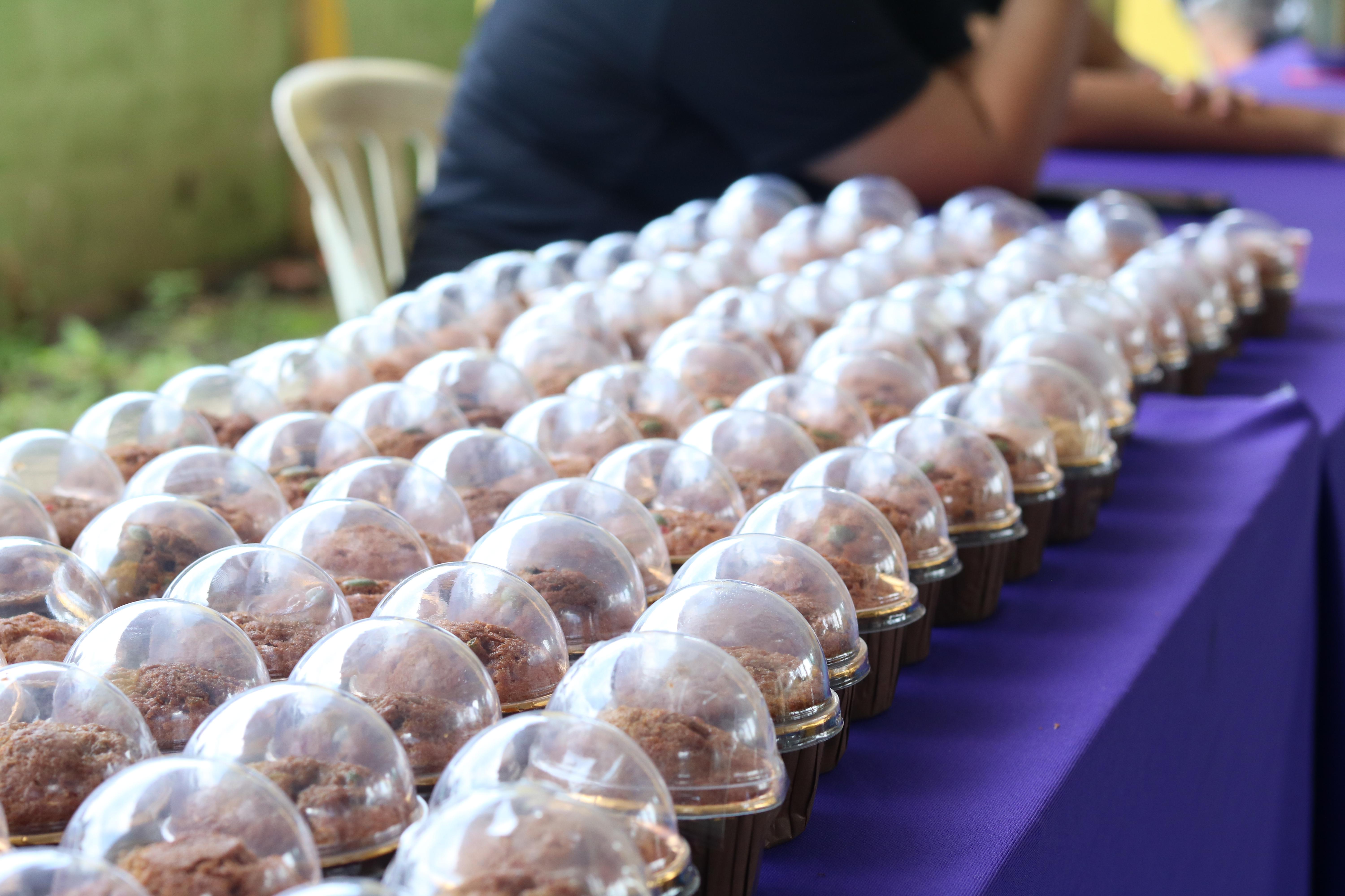 122. วันที่ 15 กรกฎาคม 2569 โปรแกรมวิชาวิทยาศาสตร์ทั่วไป ได้จัดค่ายบูรณาการพันธกิจระดับหลักสูตรเพื่อพัฒนาทักษะในศตวรรษที่ 21 ณ โรงเรียนเทศบาล 2 (วัดทุ่งสวน)