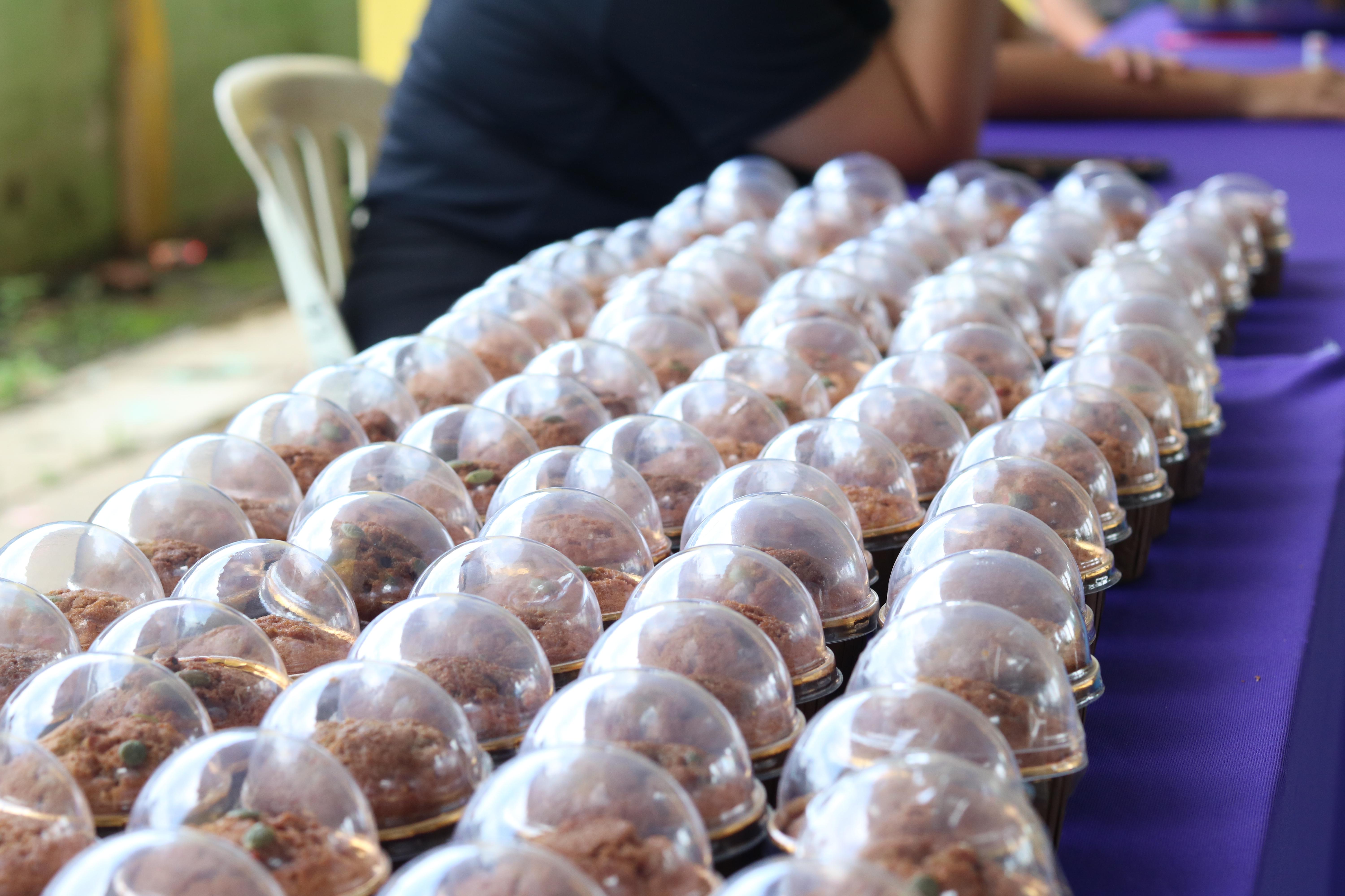 123. วันที่ 15 กรกฎาคม 2569 โปรแกรมวิชาวิทยาศาสตร์ทั่วไป ได้จัดค่ายบูรณาการพันธกิจระดับหลักสูตรเพื่อพัฒนาทักษะในศตวรรษที่ 21 ณ โรงเรียนเทศบาล 2 (วัดทุ่งสวน)