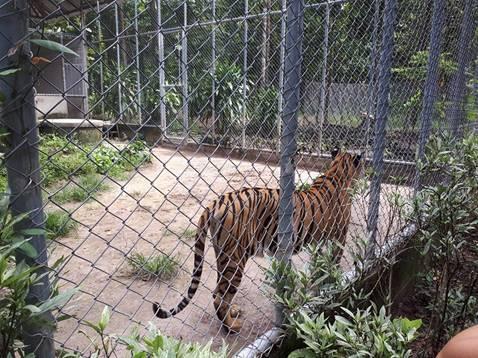 1. กิจกรรม ศึกษาสภาพภูมิศาสตร์และสิ่งแวดล้อม “ รำลึก 28 ปี สืบ นาคะเสถียร ” วันที่ ๓๑ สิงหาคม พ.ศ. ๒๕๖๑ ณ เขตรักษาพันธุ์สัตว์ป่าห้วยขาแข้ง  ตำบลระบำ อำเภอลานสัก จังหวัดอุทัยธานี